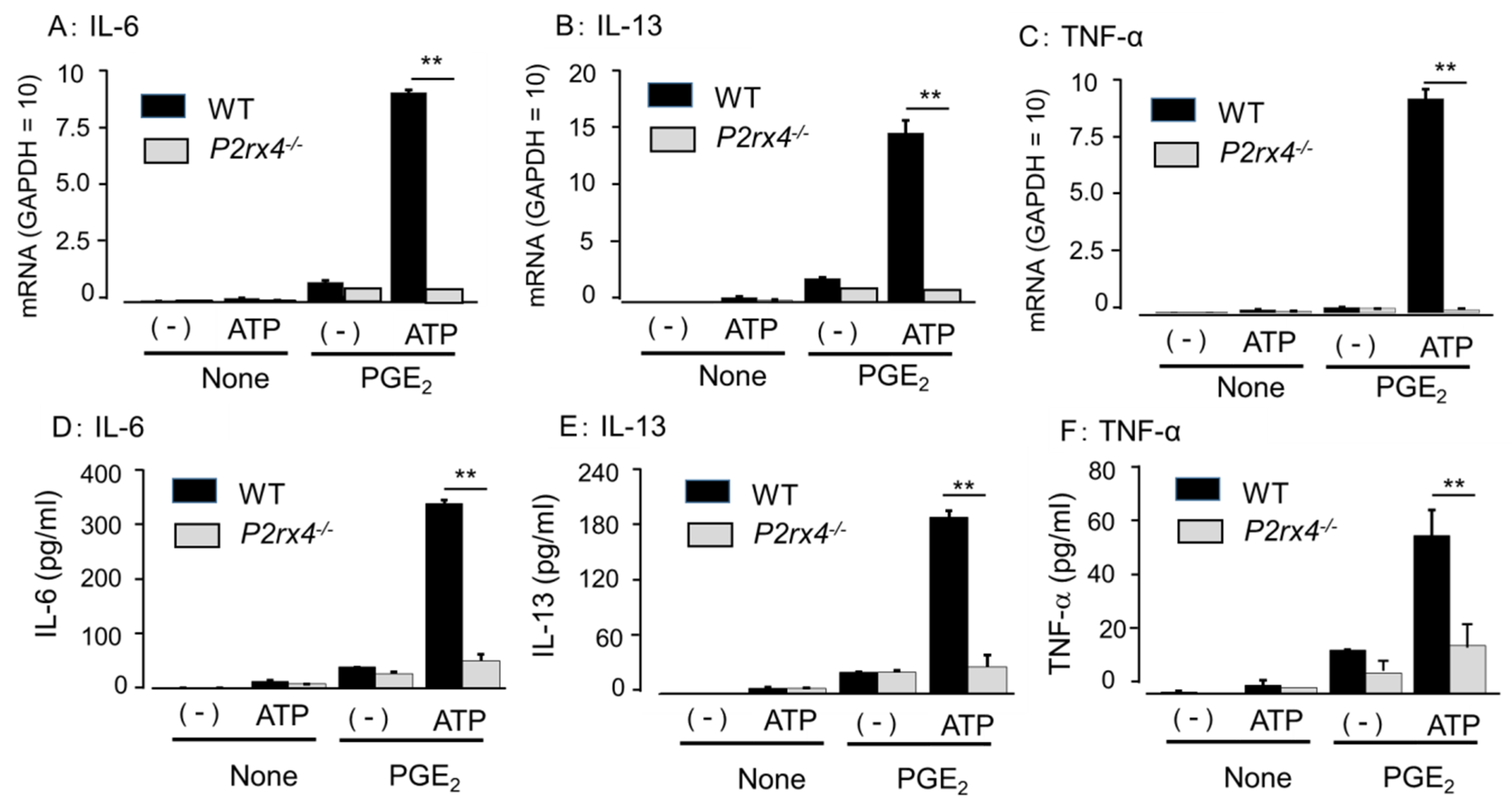Cells 11 00616 g007 Cells 11 00616 g007