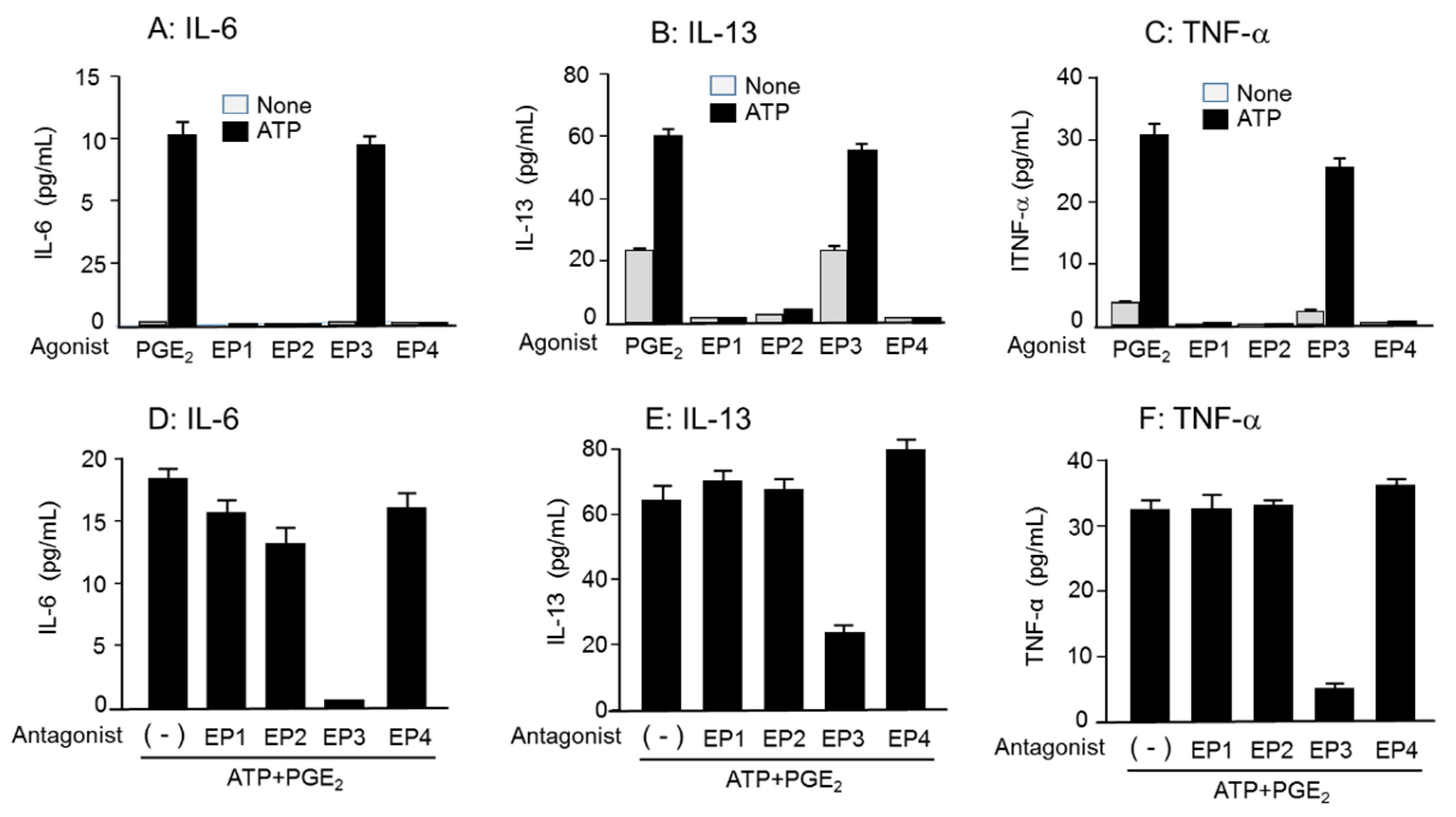 Cells 11 00616 g008 Cells 11 00616 g008