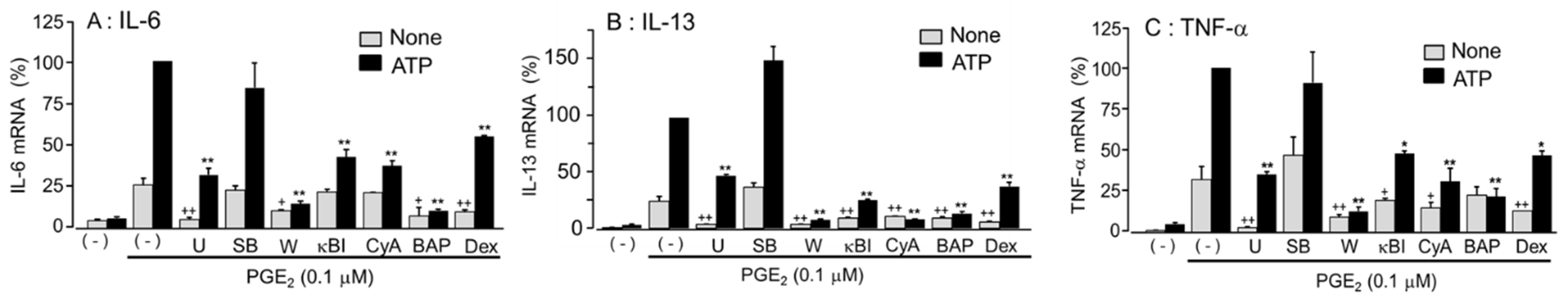 Cells 11 00616 g010 Cells 11 00616 g010