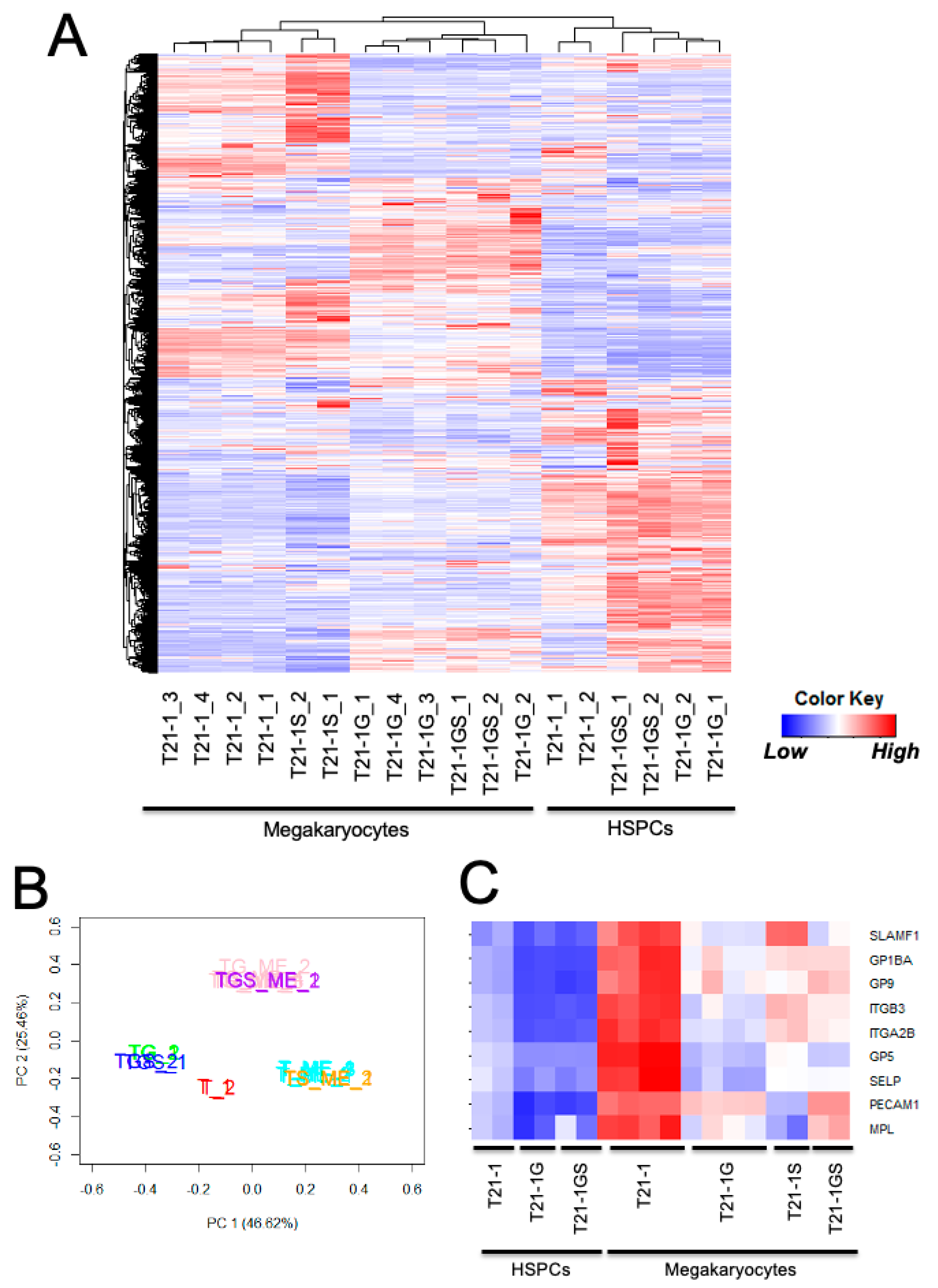 Cells 11 00628 g004 Cells 11 00628 g004