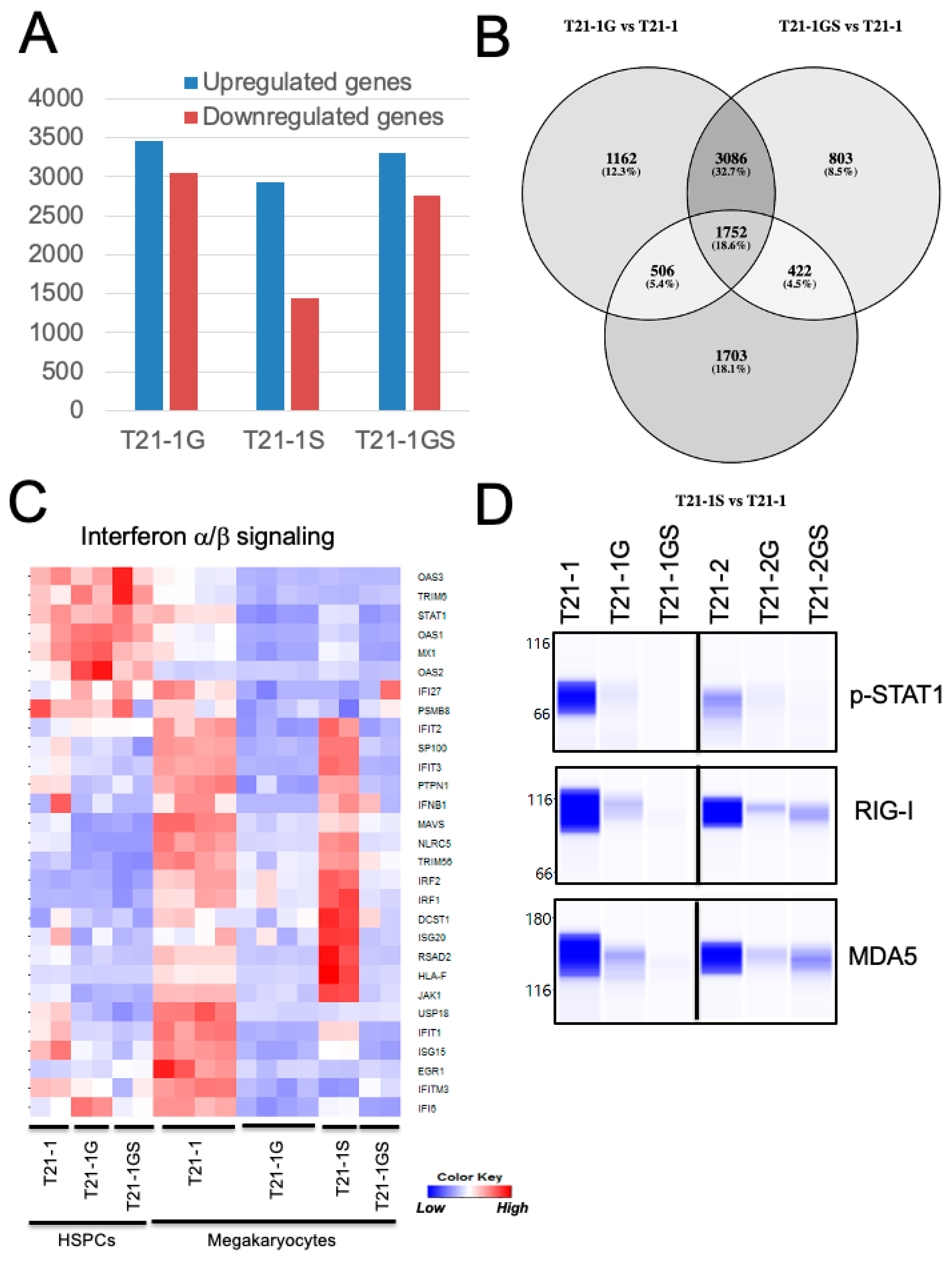 Cells 11 00628 g005 Cells 11 00628 g005