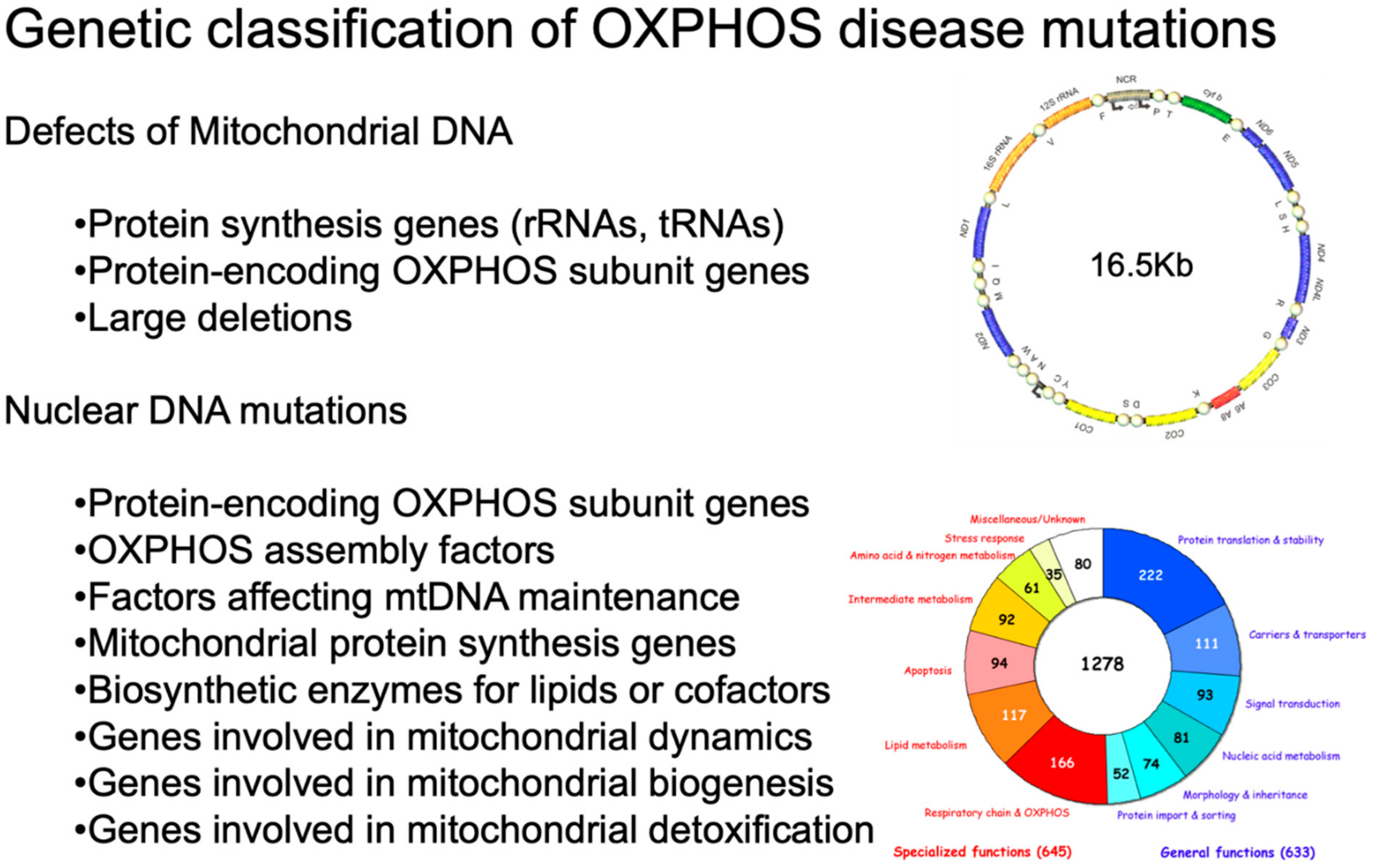 Cells 11 00637 g001 Cells 11 00637 g001