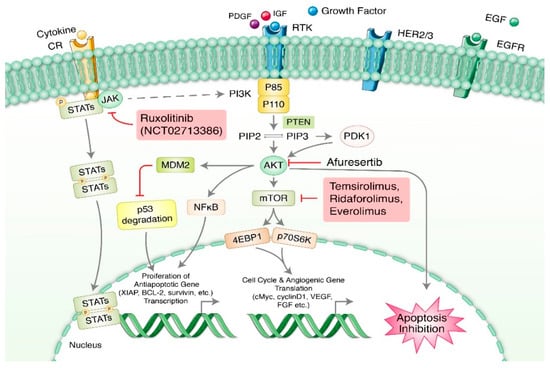 Cells | Free Full-Text | Recent Advances in Ovarian Cancer: Therapeutic ...