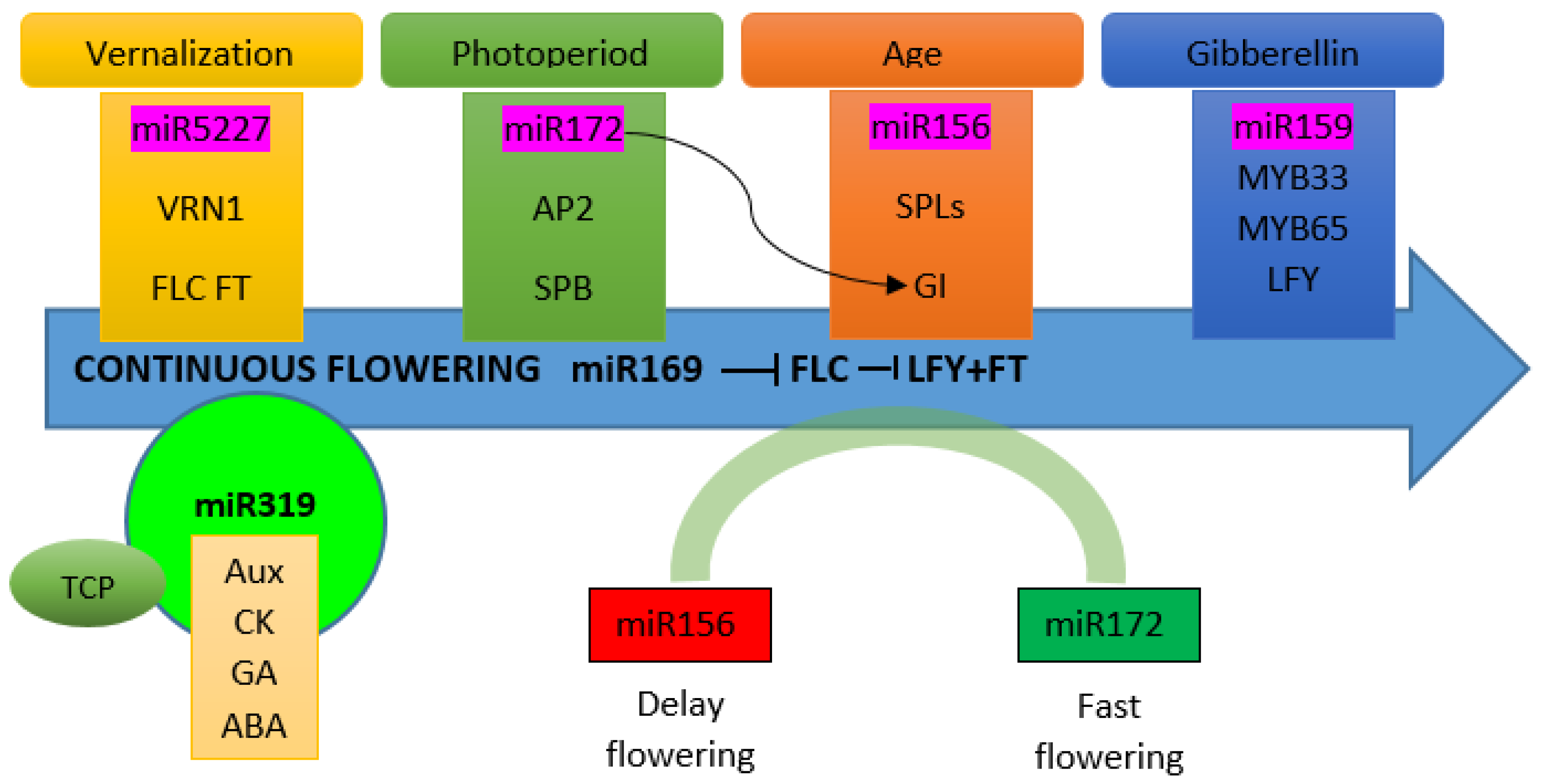 Cells 11 00657 g002 Cells 11 00657 g002