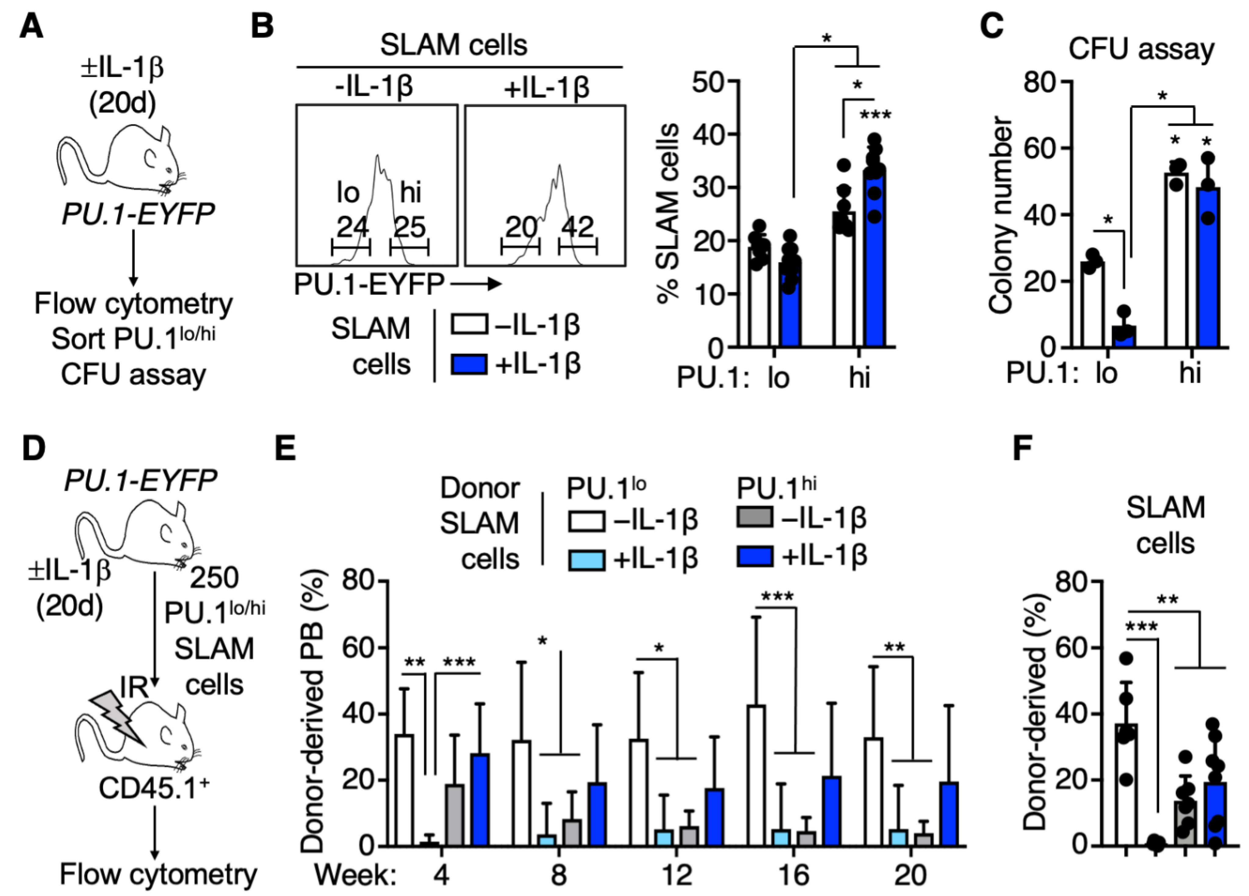 Cells 11 00680 g001