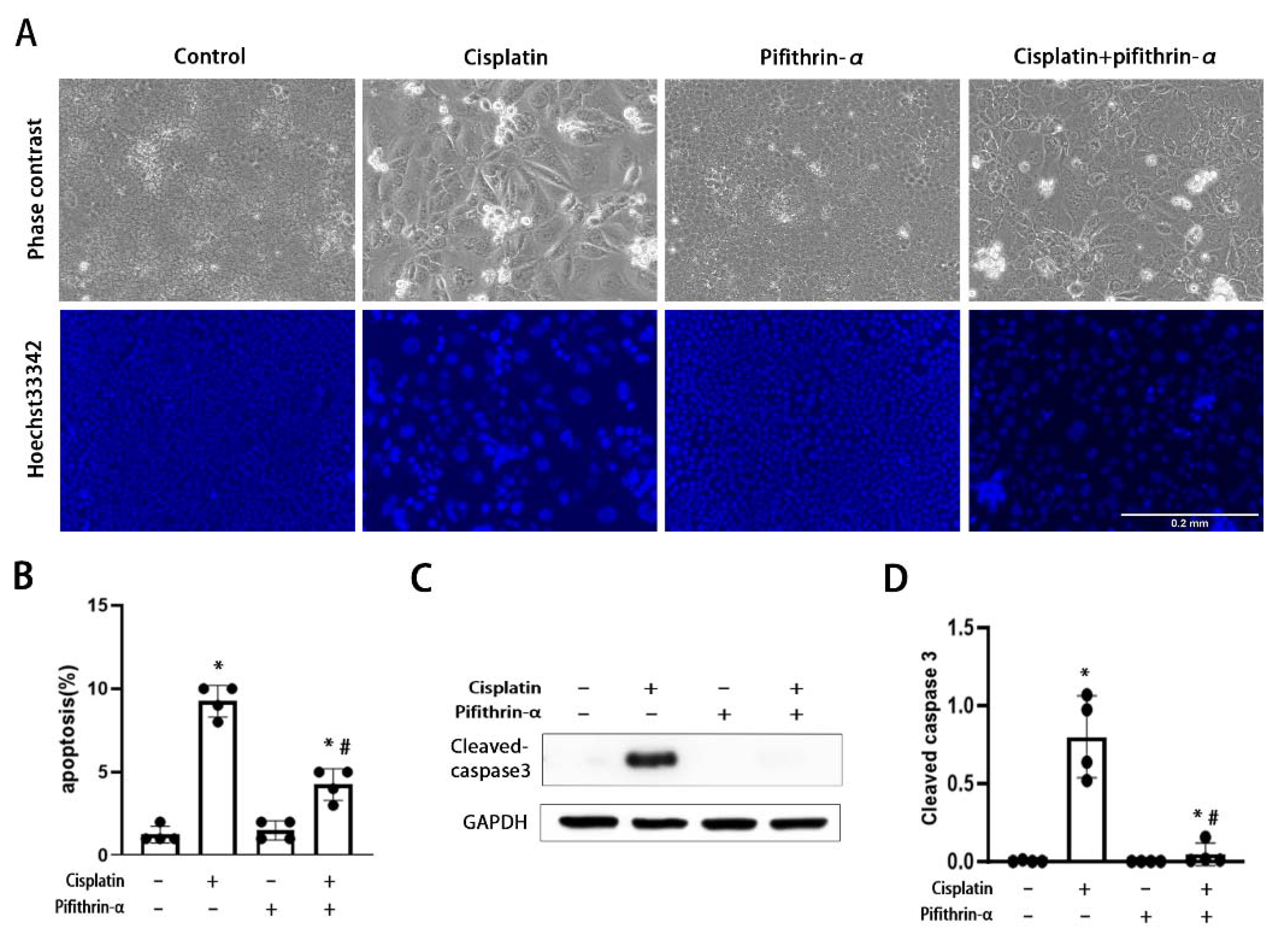 Cells 11 00712 g002