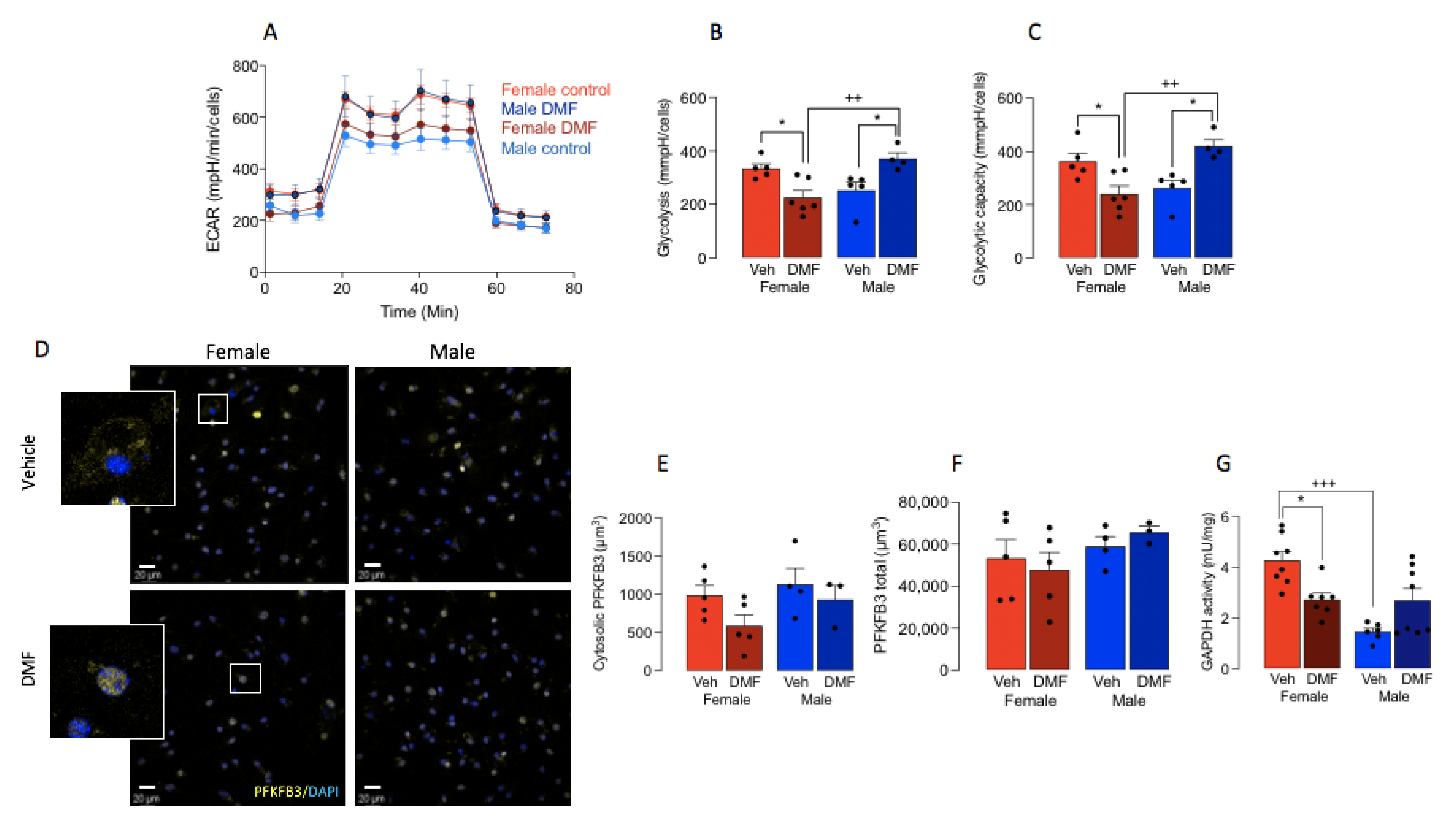 Cells 11 00729 g003 Cells 11 00729 g003