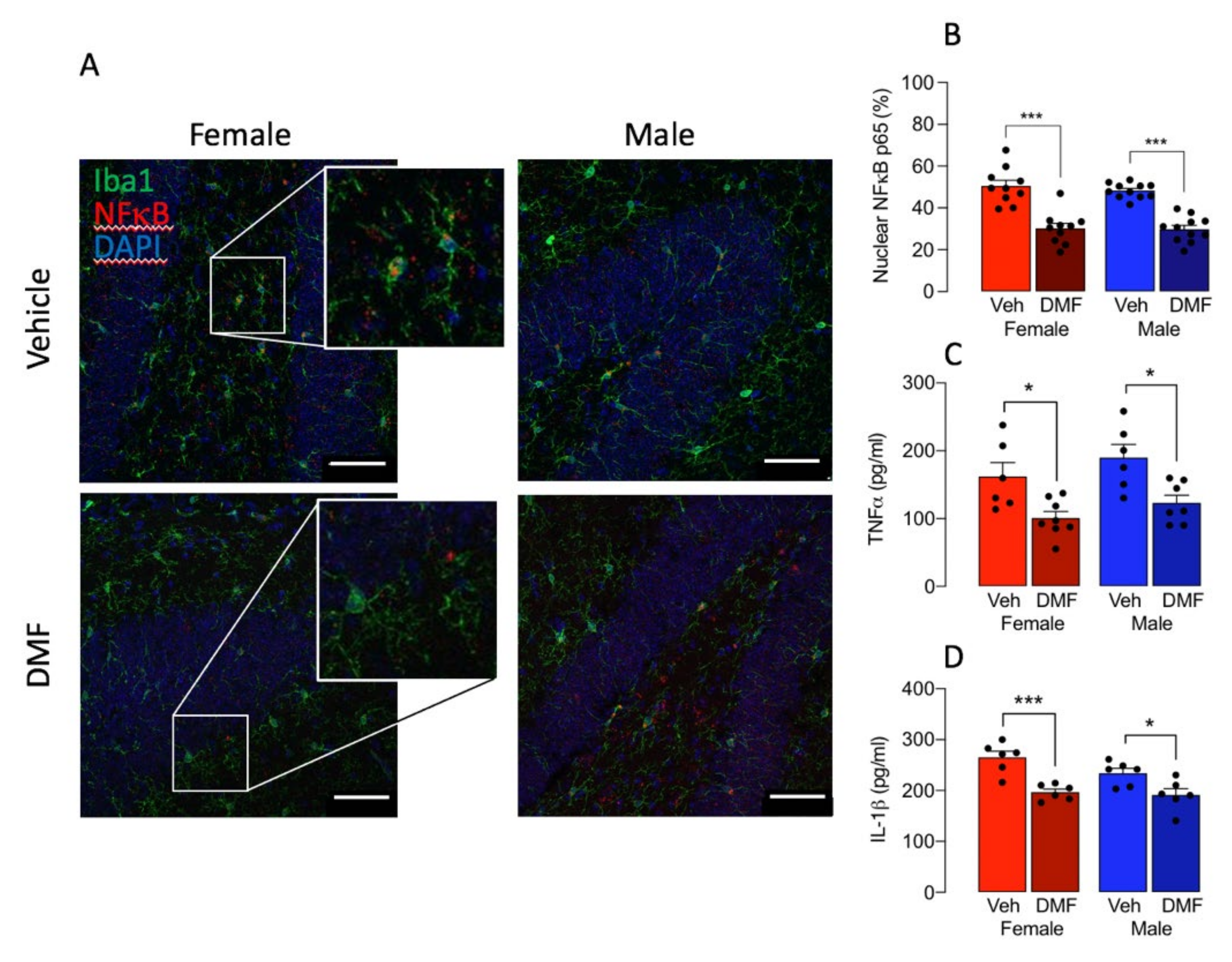 Cells 11 00729 g004 Cells 11 00729 g004