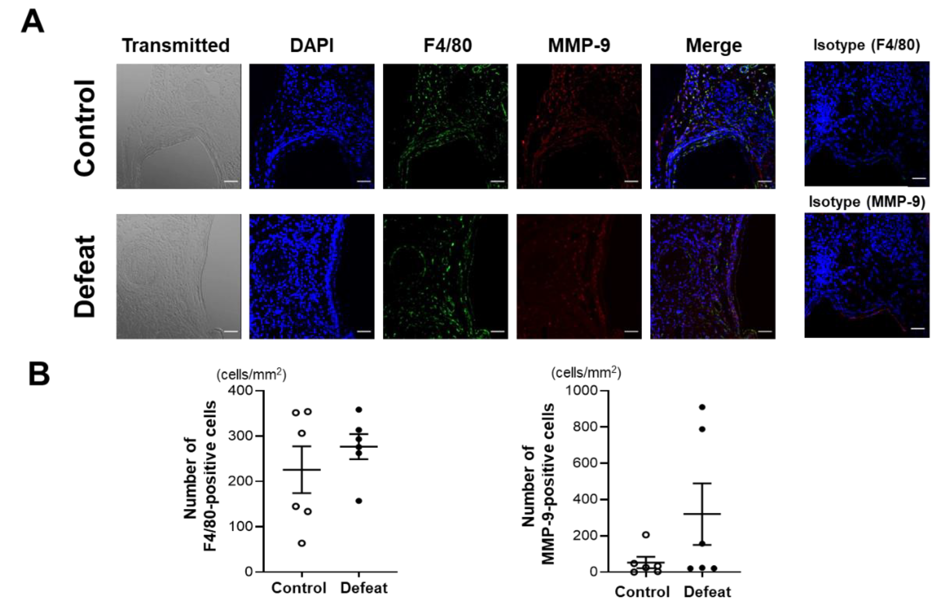 Cells 11 00732 g002a
