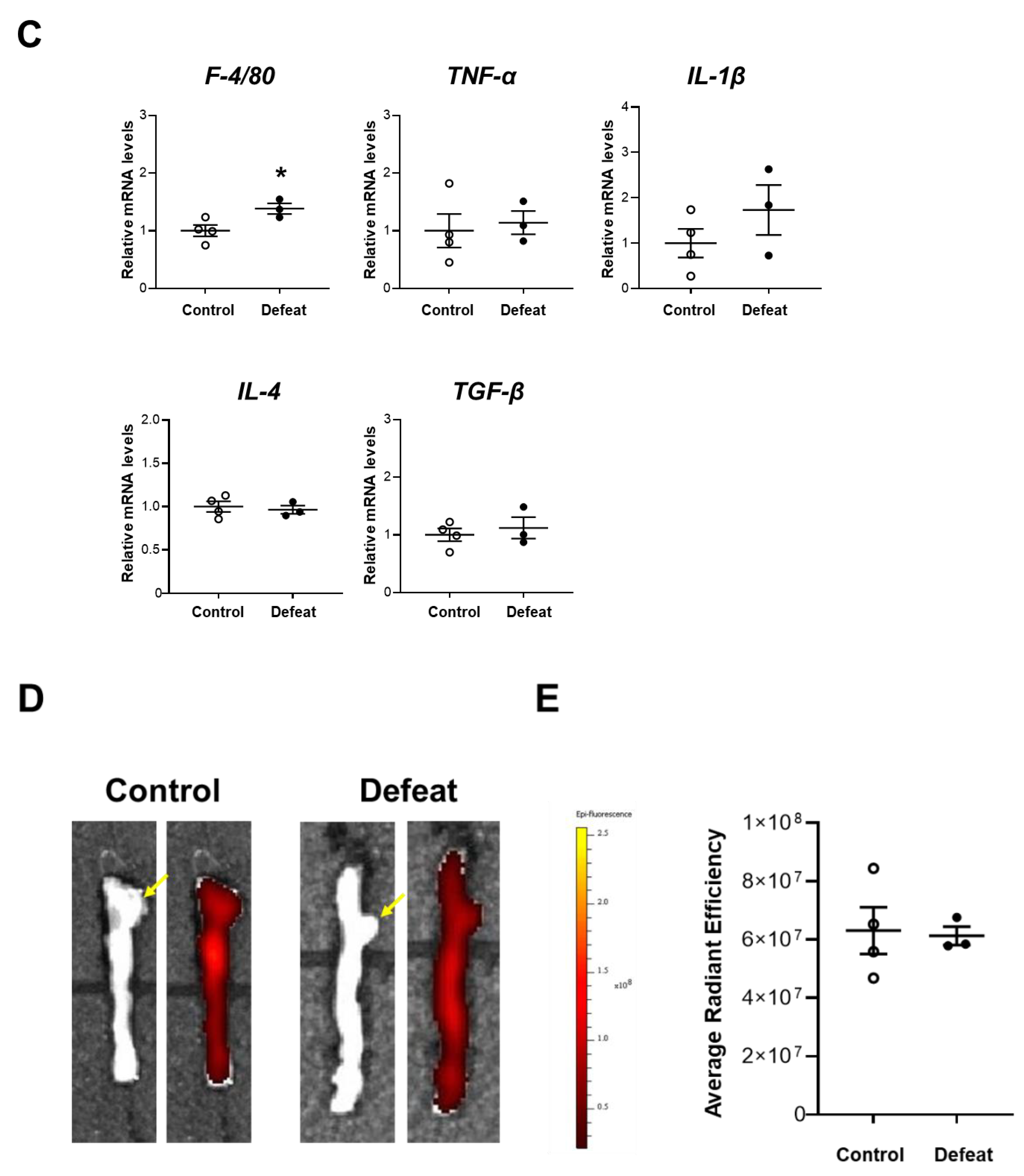 Cells 11 00732 g002b