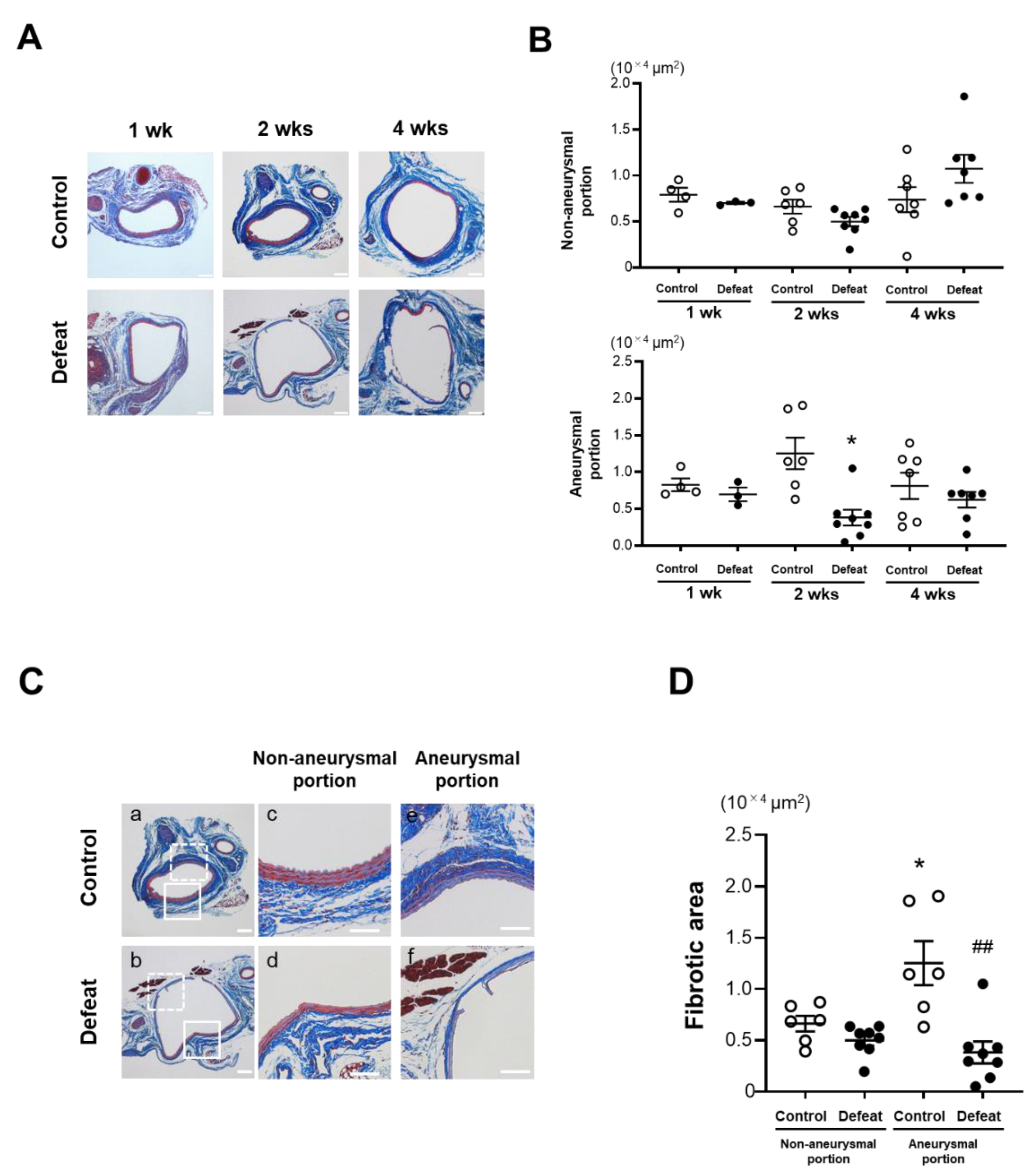 Cells 11 00732 g003a