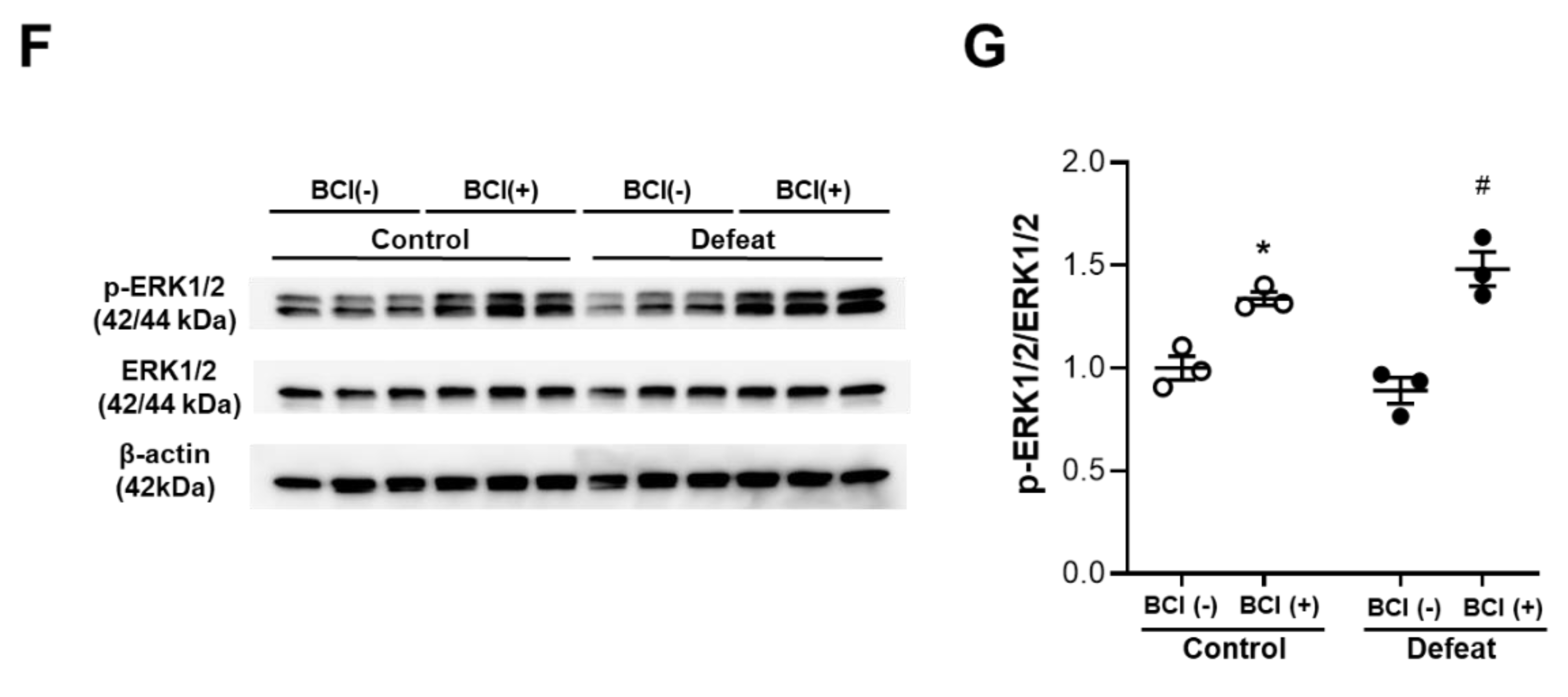 Cells 11 00732 g005b