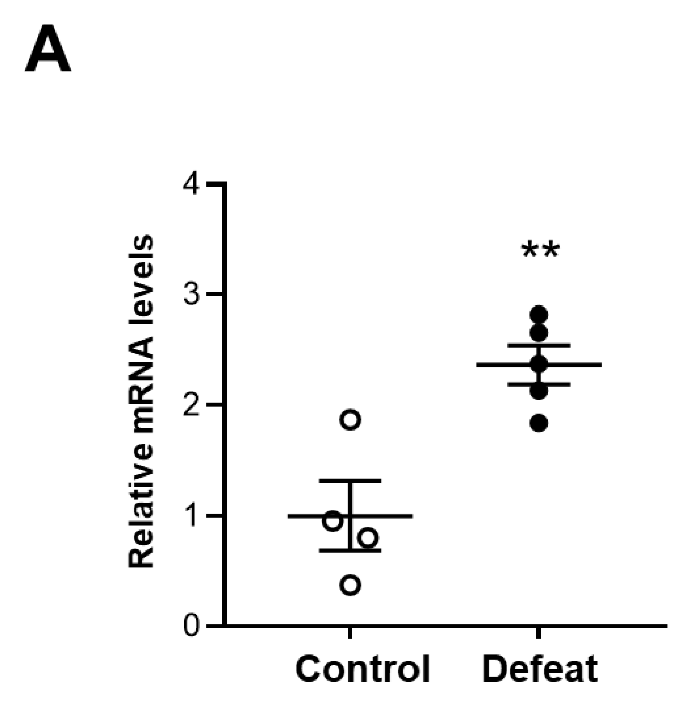 Cells 11 00732 g006a