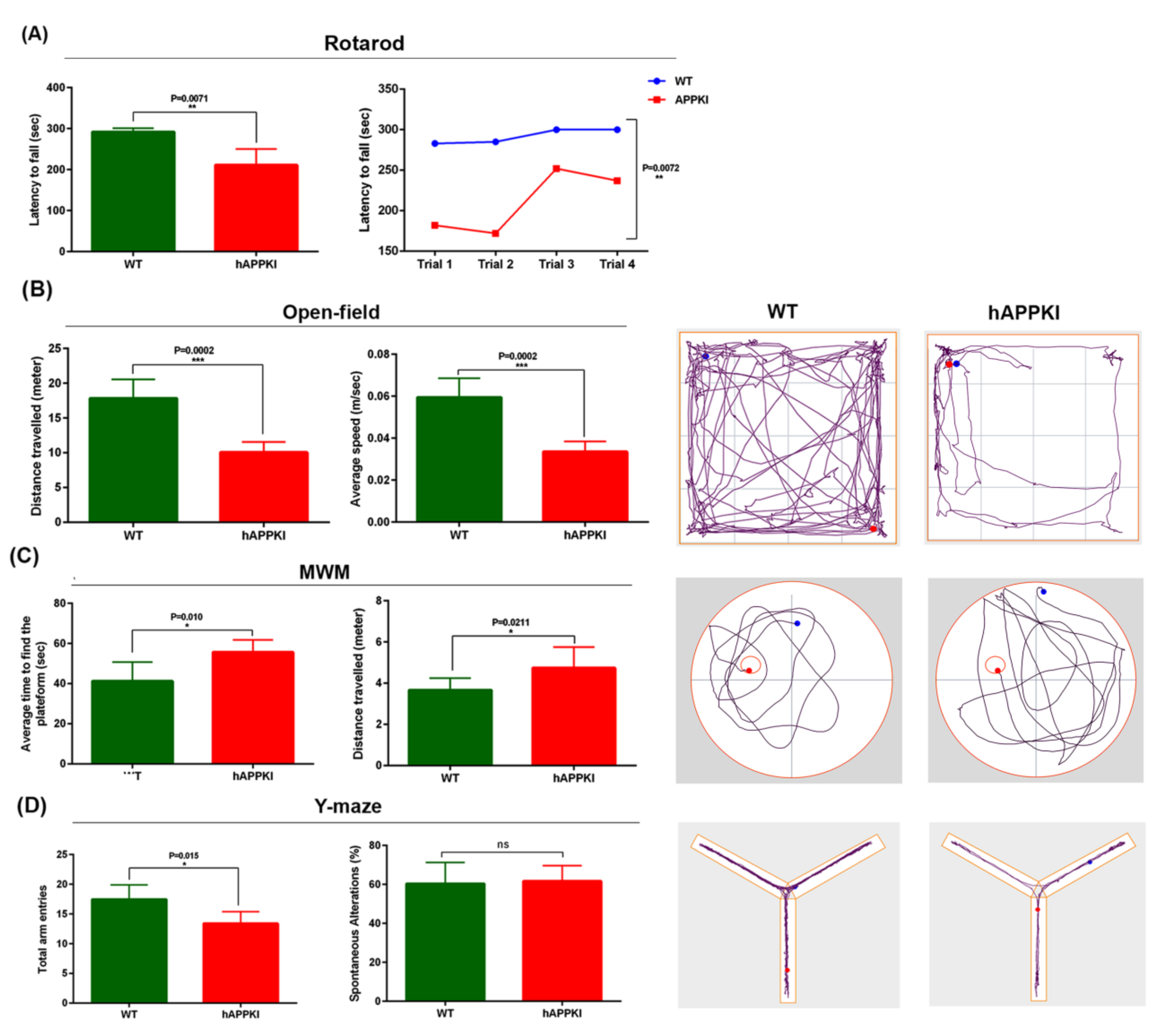 https://www.mdpi.com/cells/cells-11-00733/article_deploy/html/images/cells-11-00733-g001.png