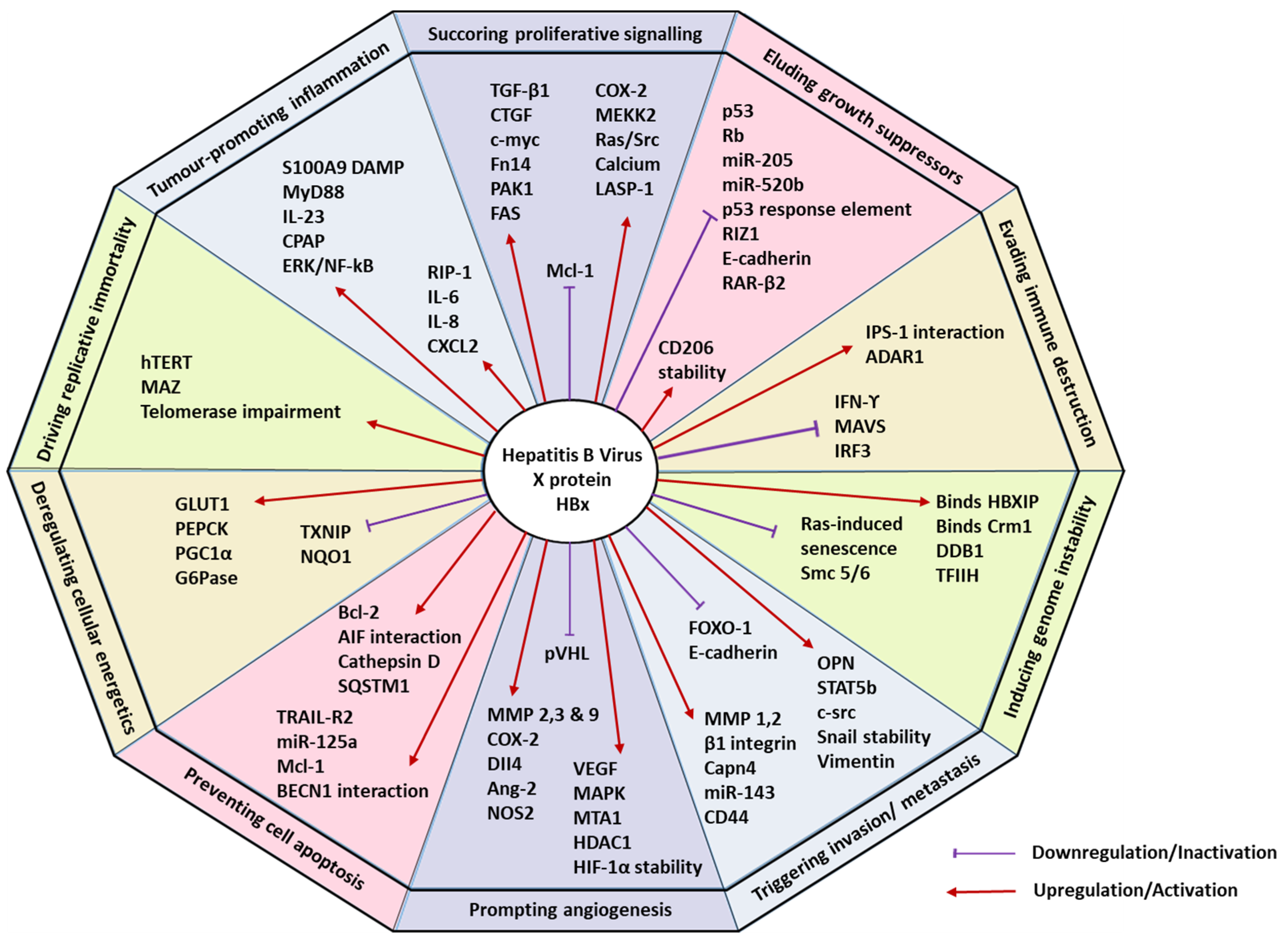 Cells 11 00741 g001 Cells 11 00741 g001