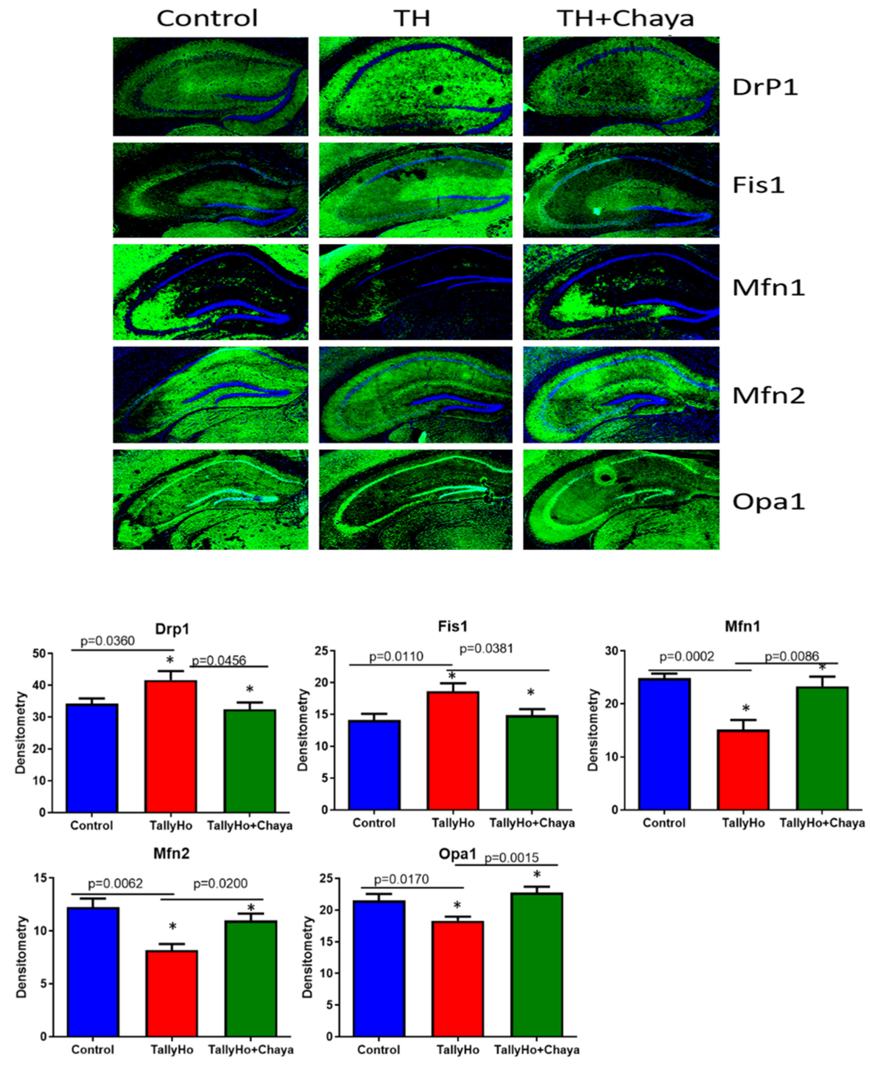 Cells 11 00744 g007