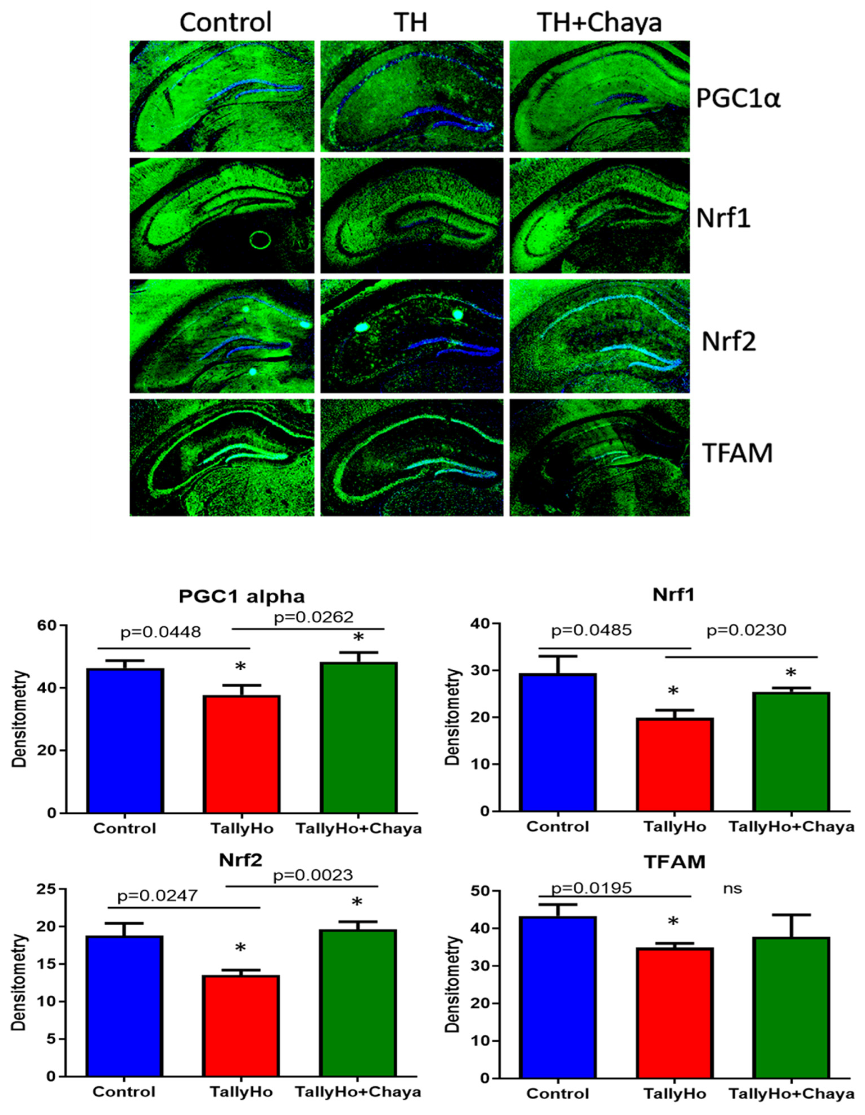 Cells 11 00744 g008