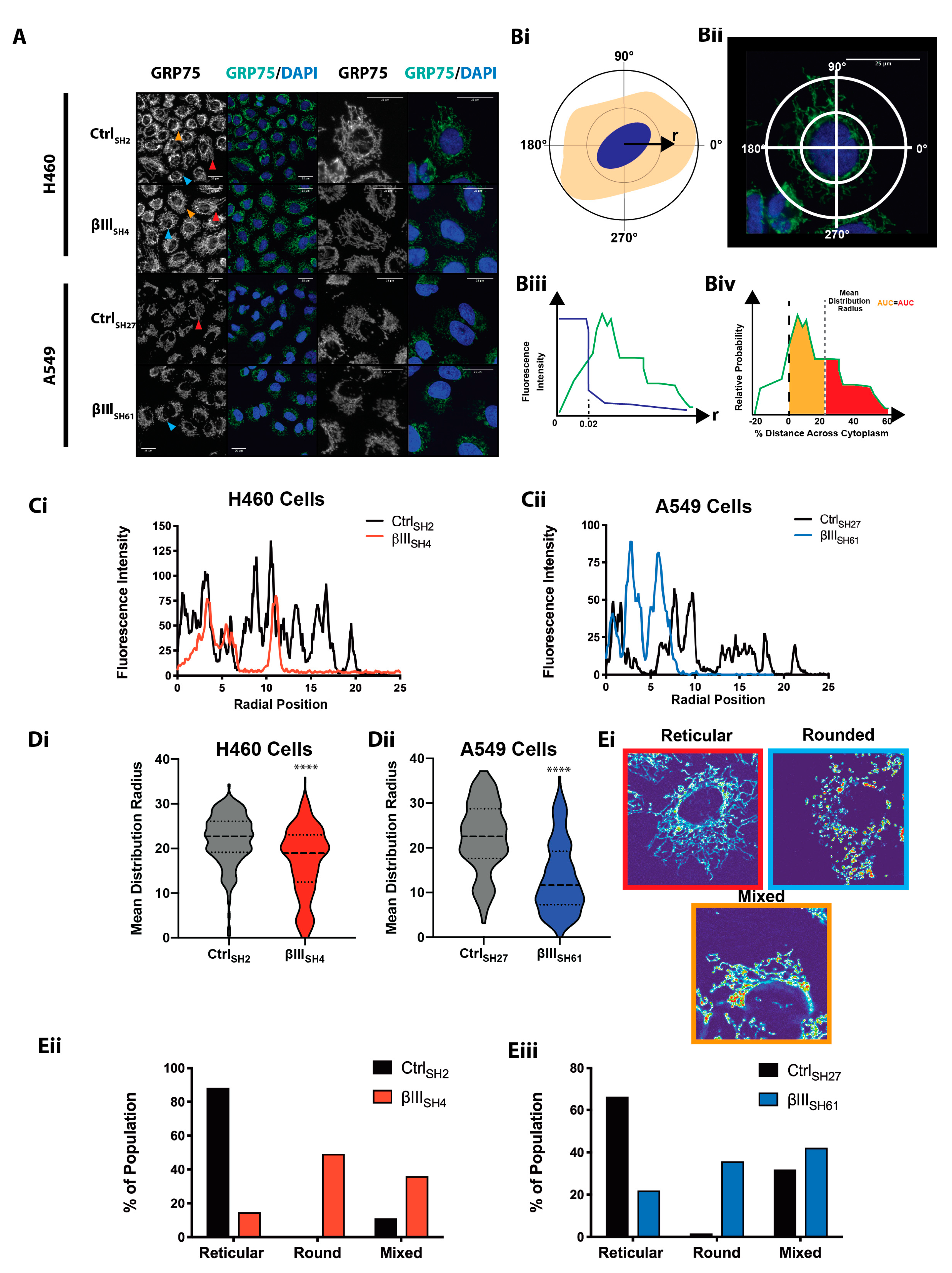 Cells 11 00776 g001 Cells 11 00776 g001