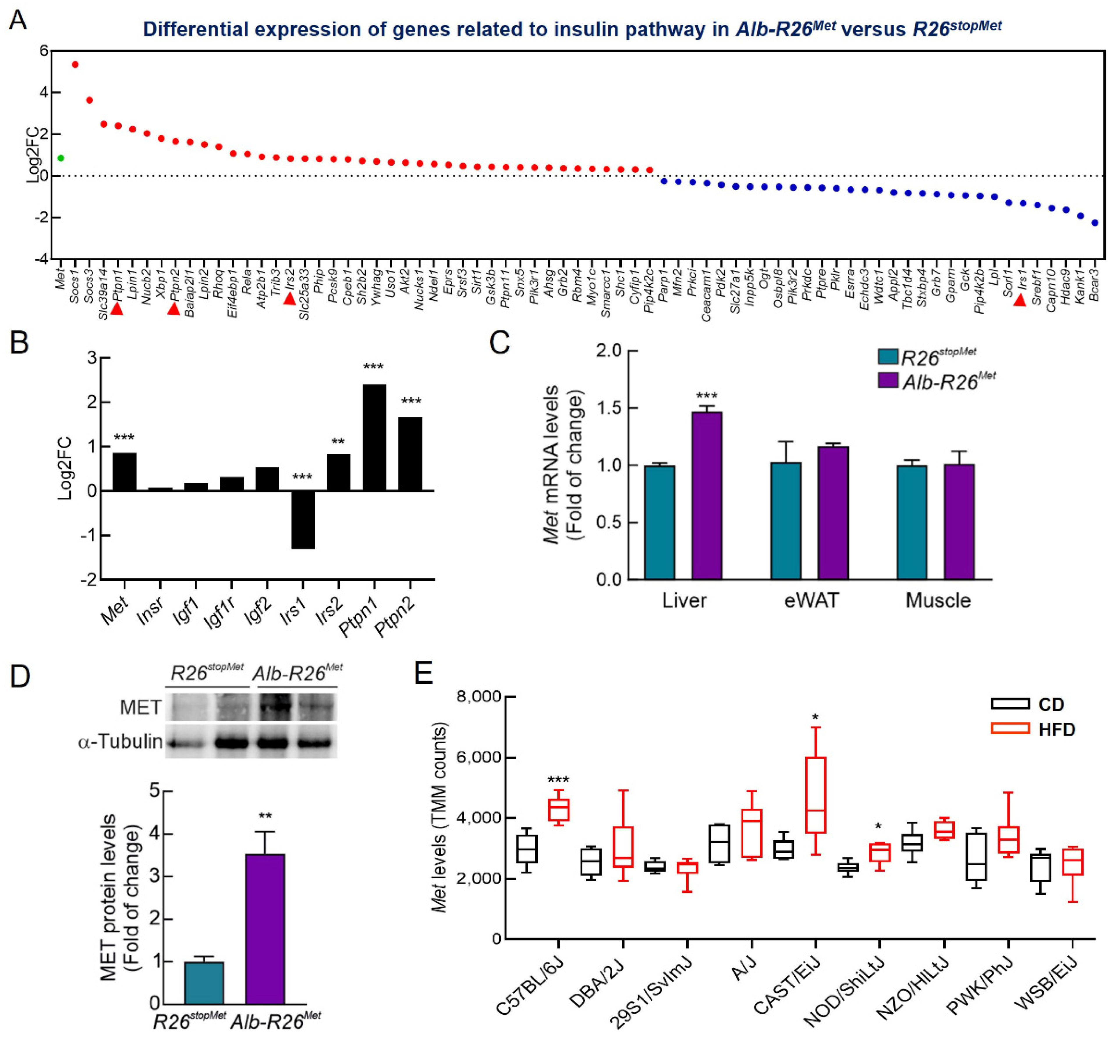 Cells 11 00793 g001 Cells 11 00793 g001