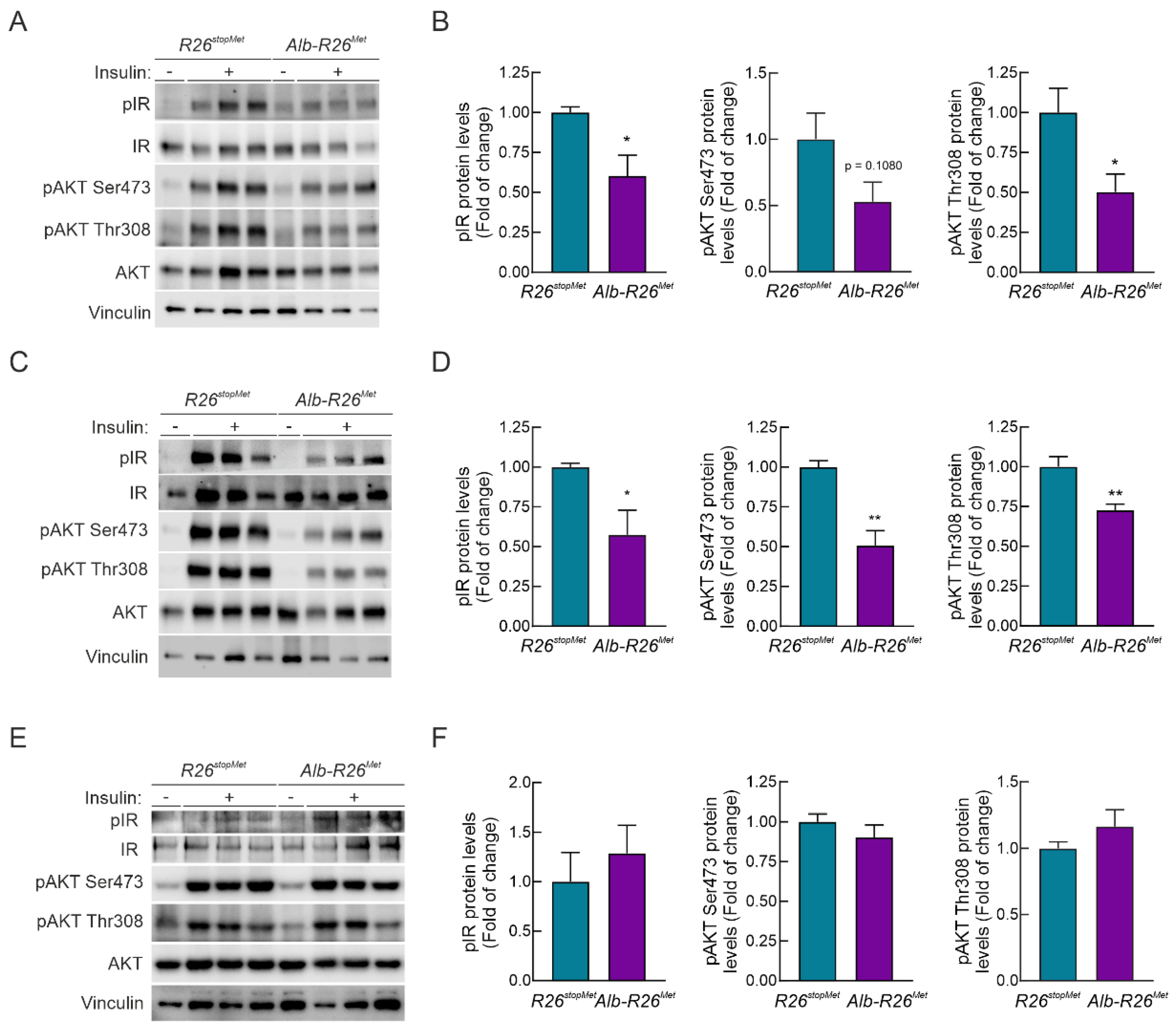 Cells 11 00793 g005 Cells 11 00793 g005