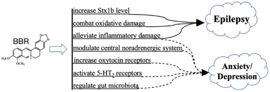 Cells | Free Full-Text | Therapeutic Efficacies of Berberine 