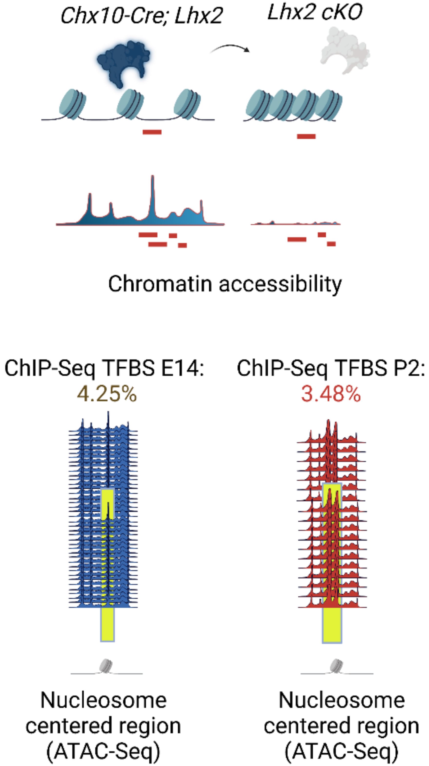 Cells 11 00806 g002 Cells 11 00806 g002