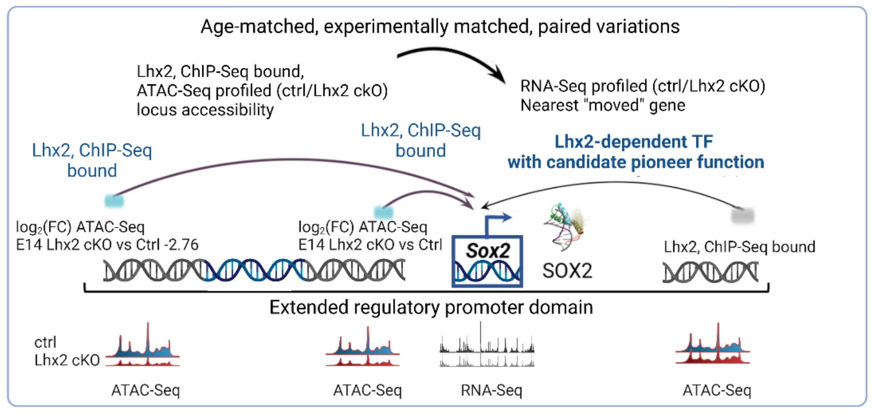 Cells 11 00806 g004 Cells 11 00806 g004