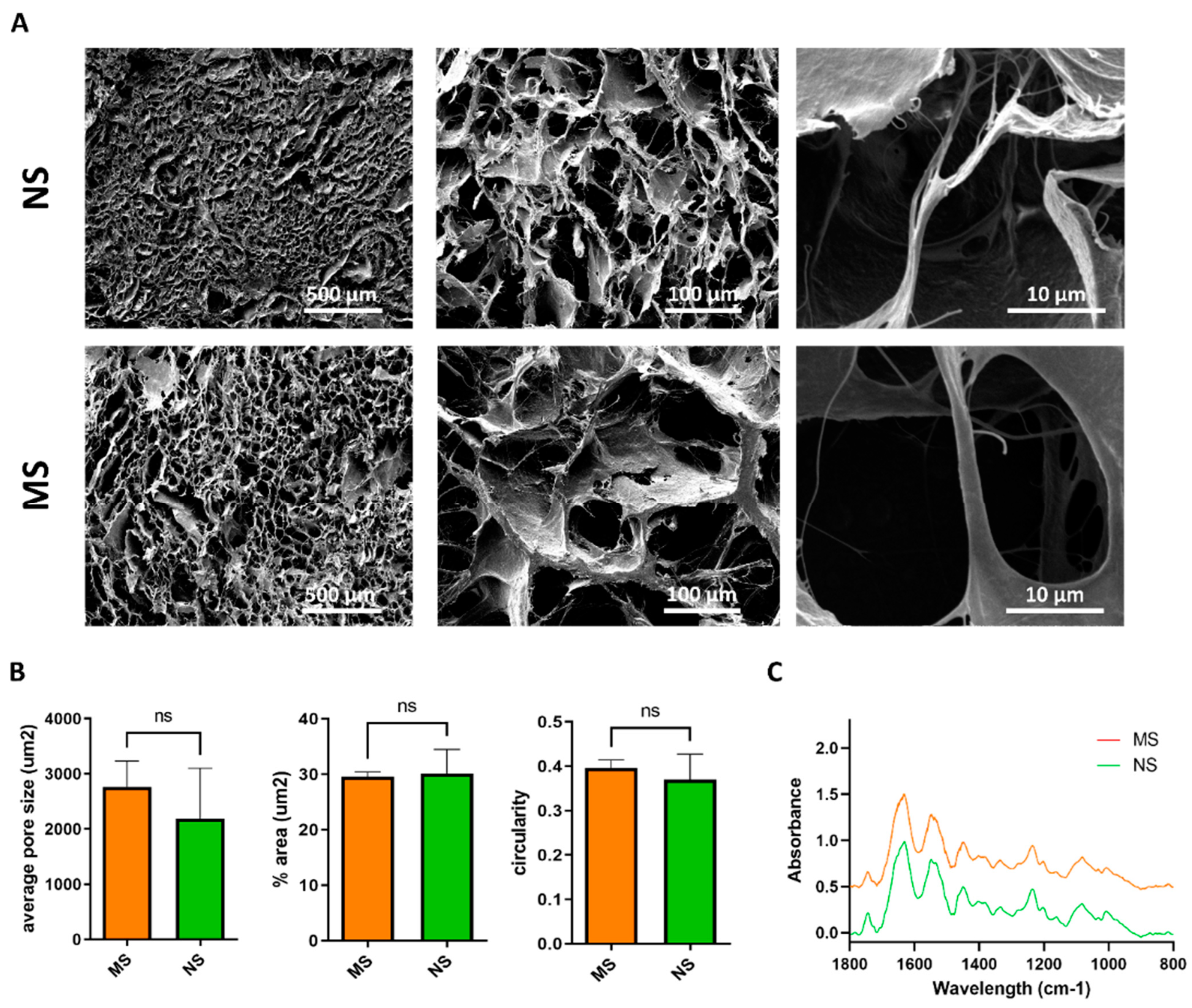 Cells 11 00824 g002 Cells 11 00824 g002