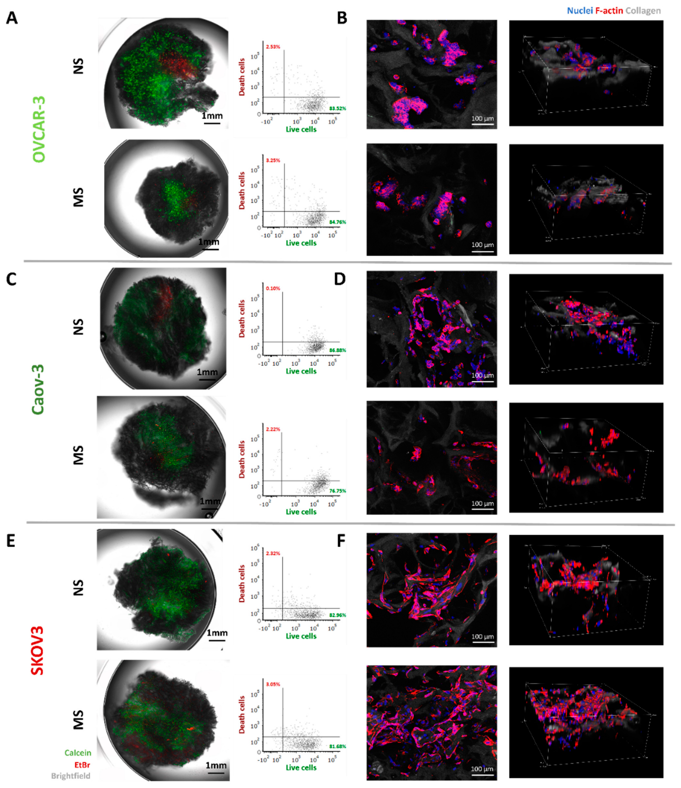 Cells 11 00824 g003 Cells 11 00824 g003
