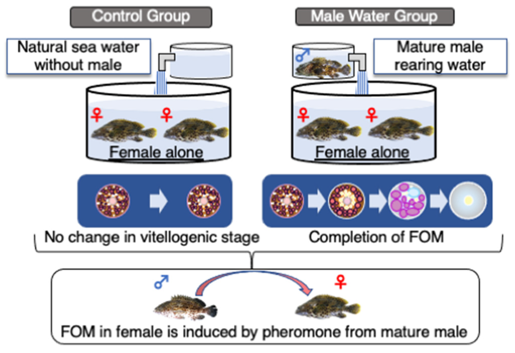 Cells 11 00825 g002 Cells 11 00825 g002