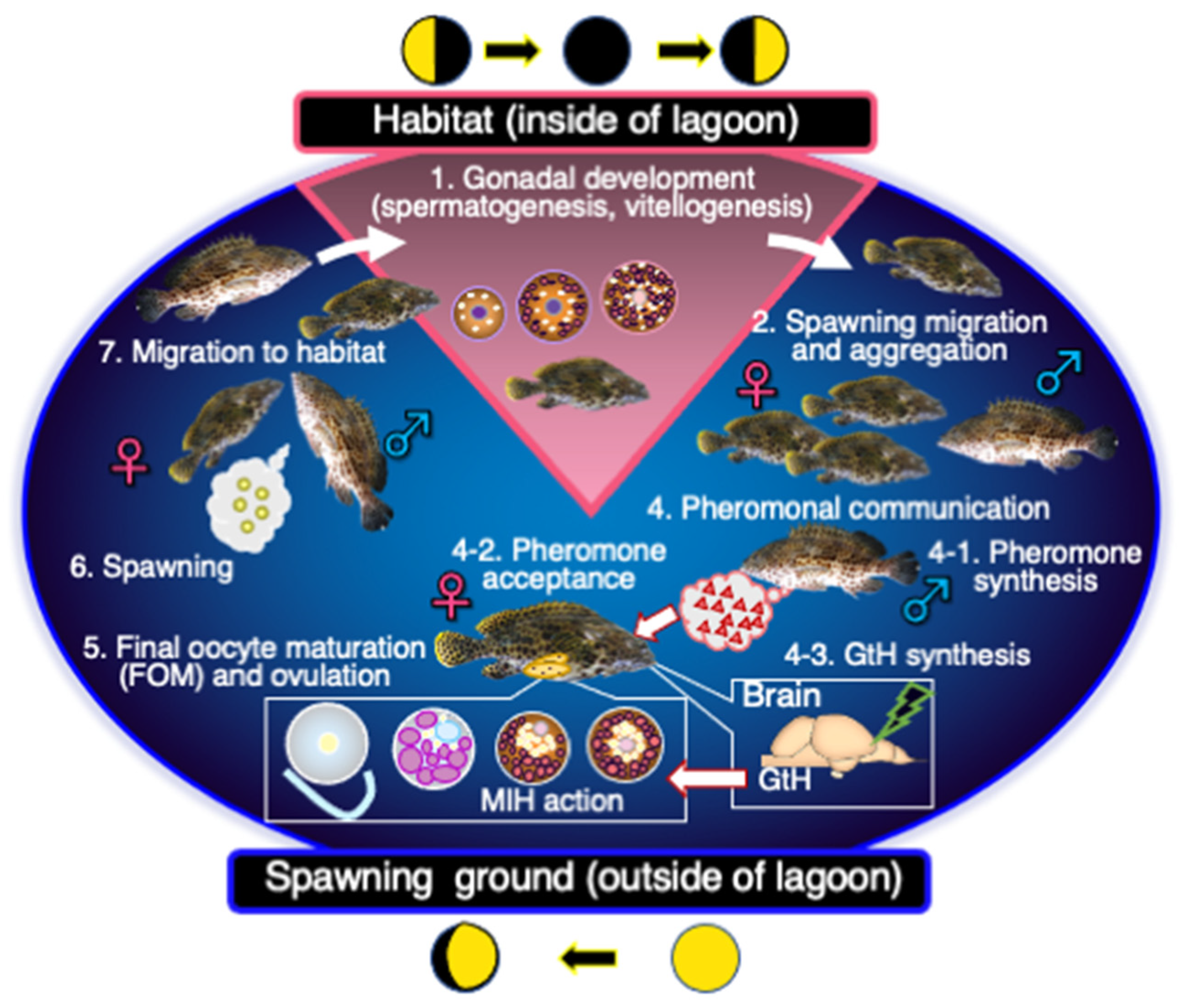Cells 11 00825 g004 Cells 11 00825 g004