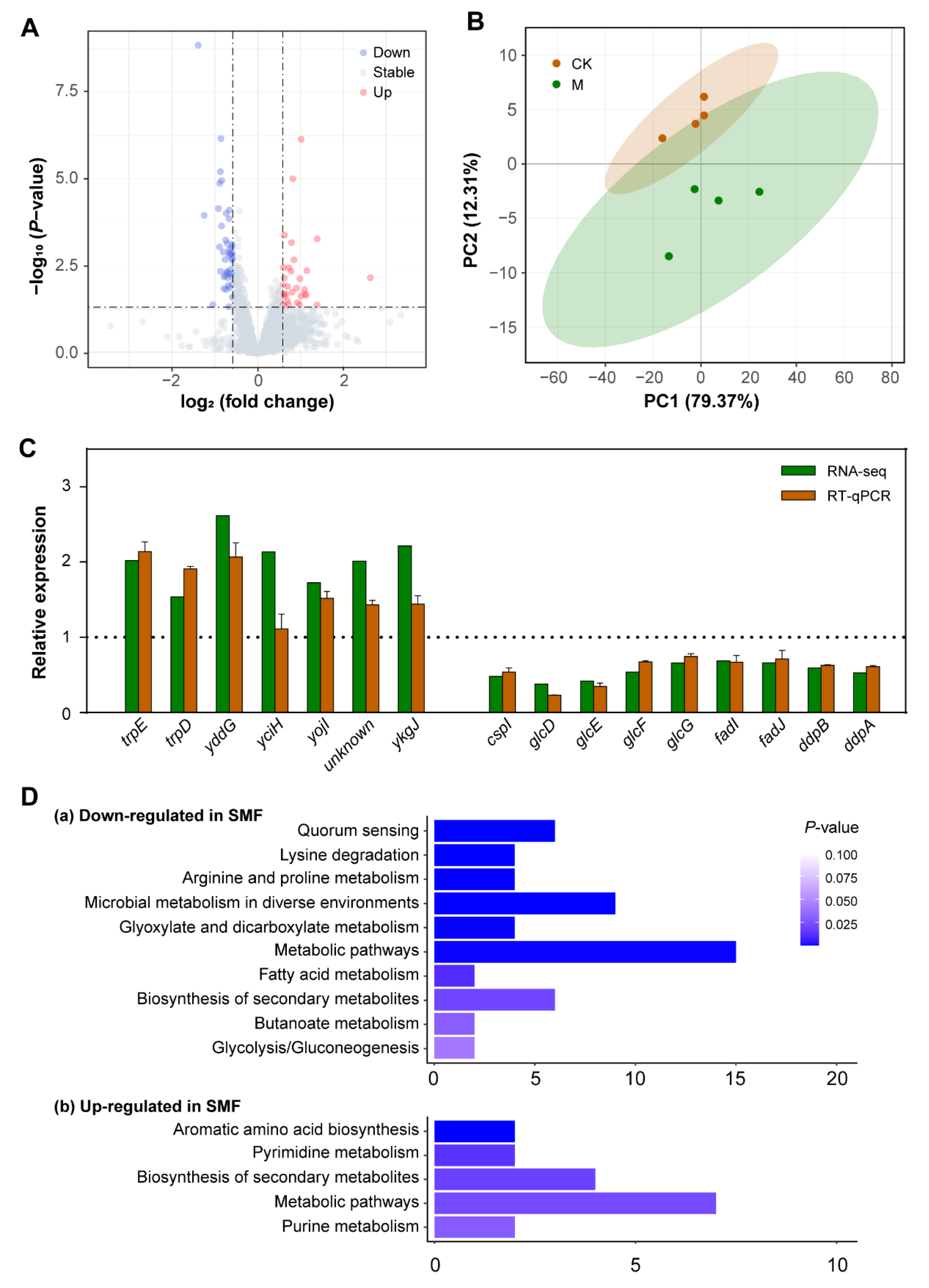 Cells 11 00827 g002 Cells 11 00827 g002