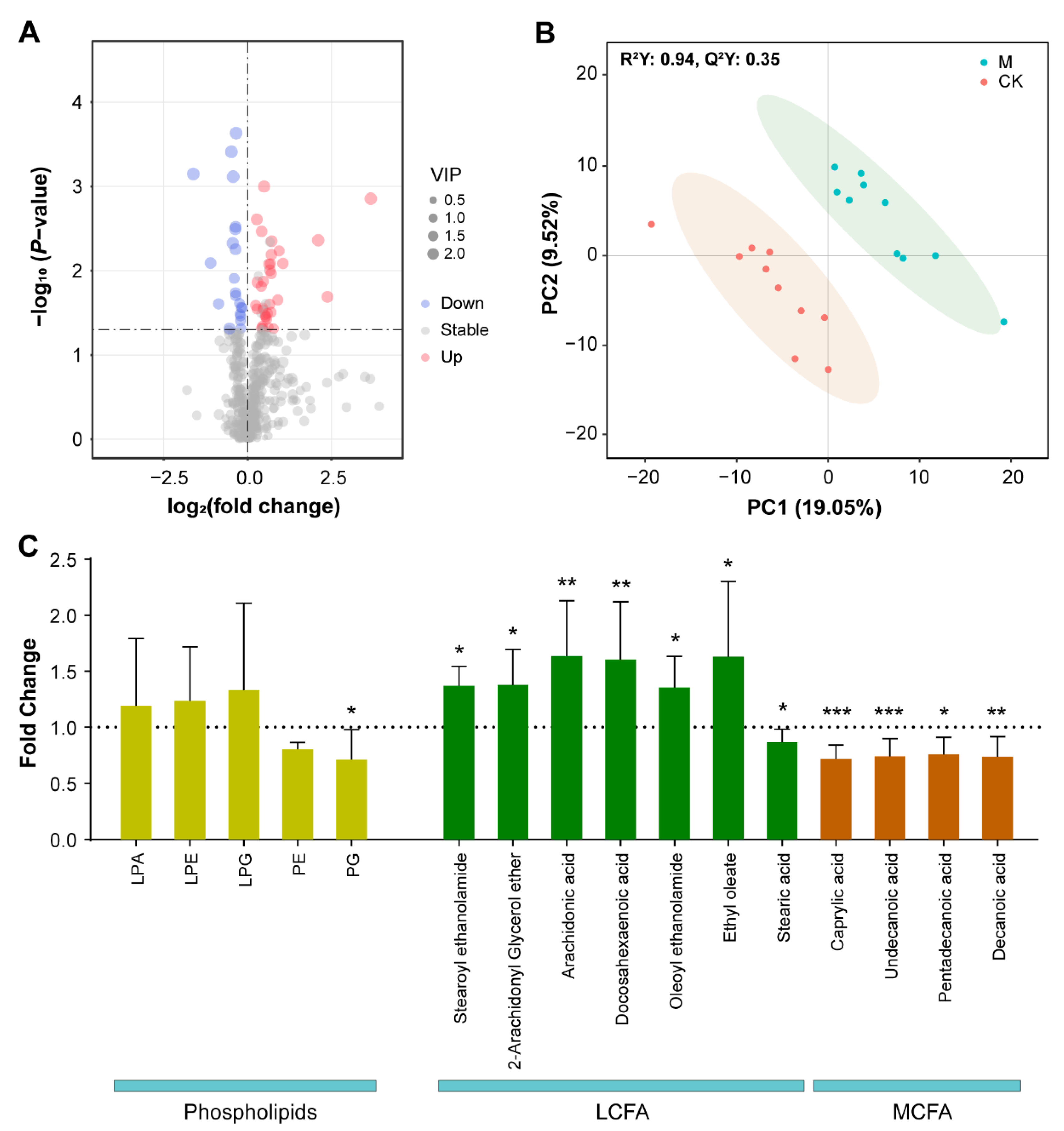 Cells 11 00827 g003 Cells 11 00827 g003