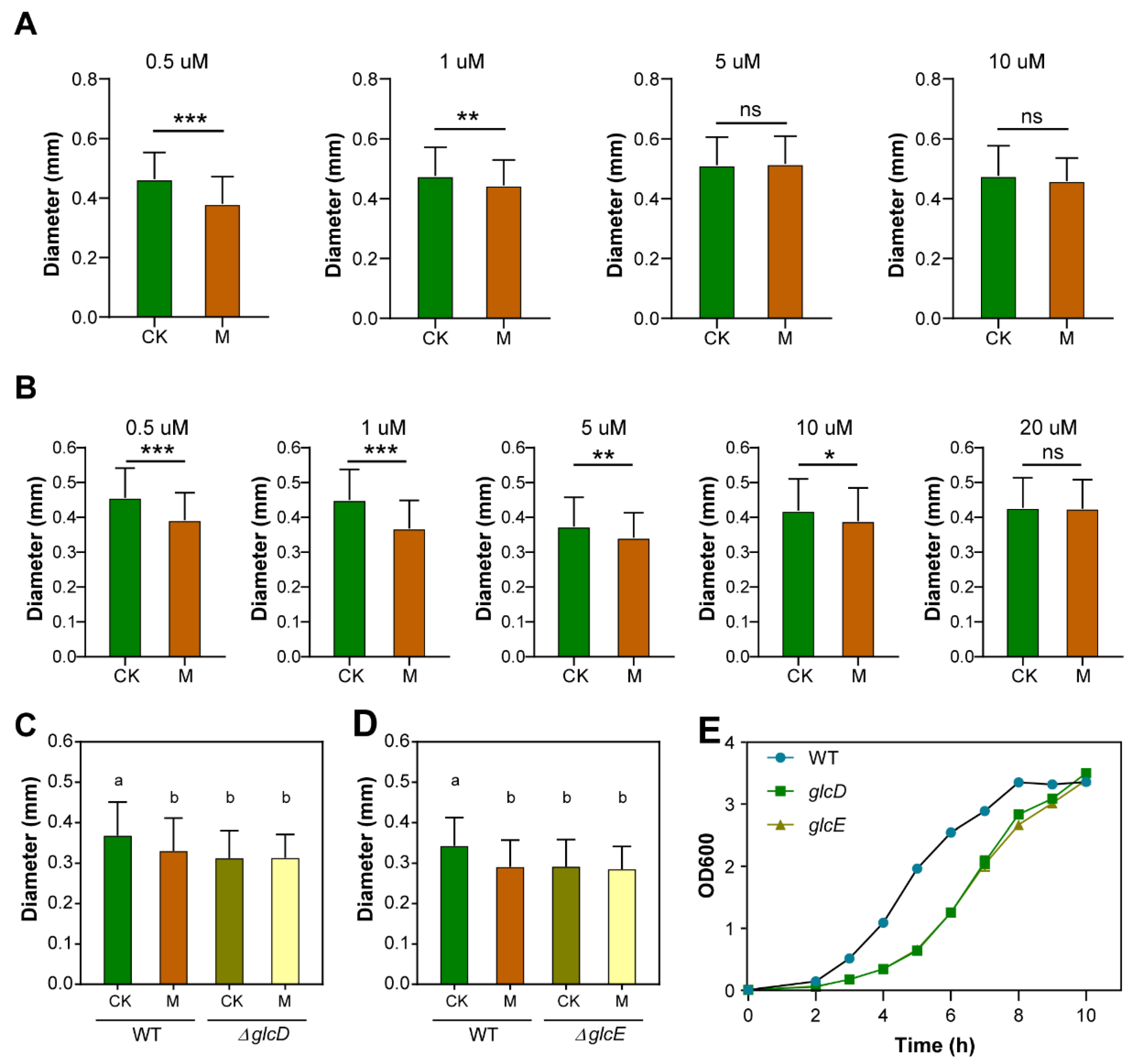 Cells 11 00827 g004 Cells 11 00827 g004