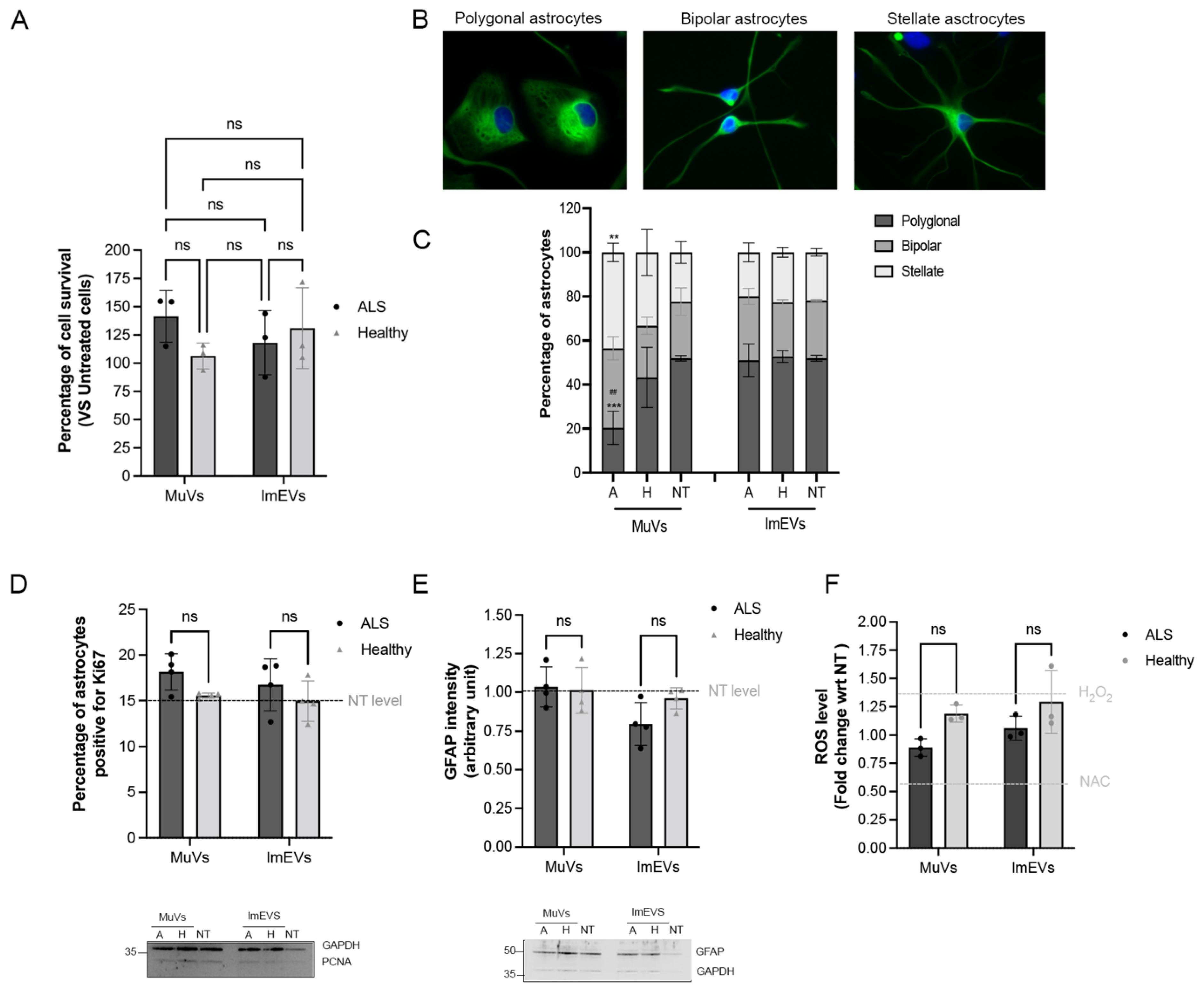 Cells 11 00845 g004