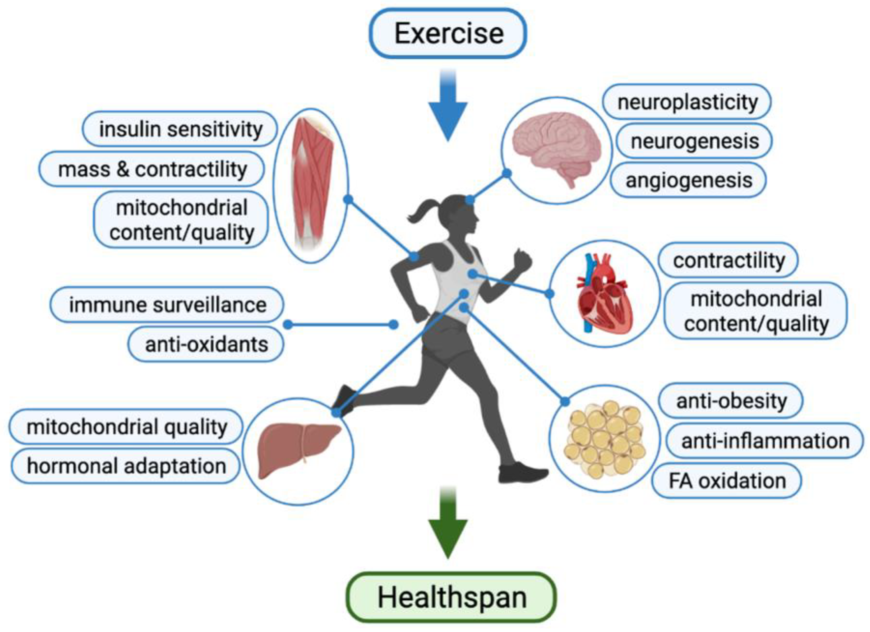 Social and Leisure Matters after Stroke: Sports, Exercise & Physical  Activity