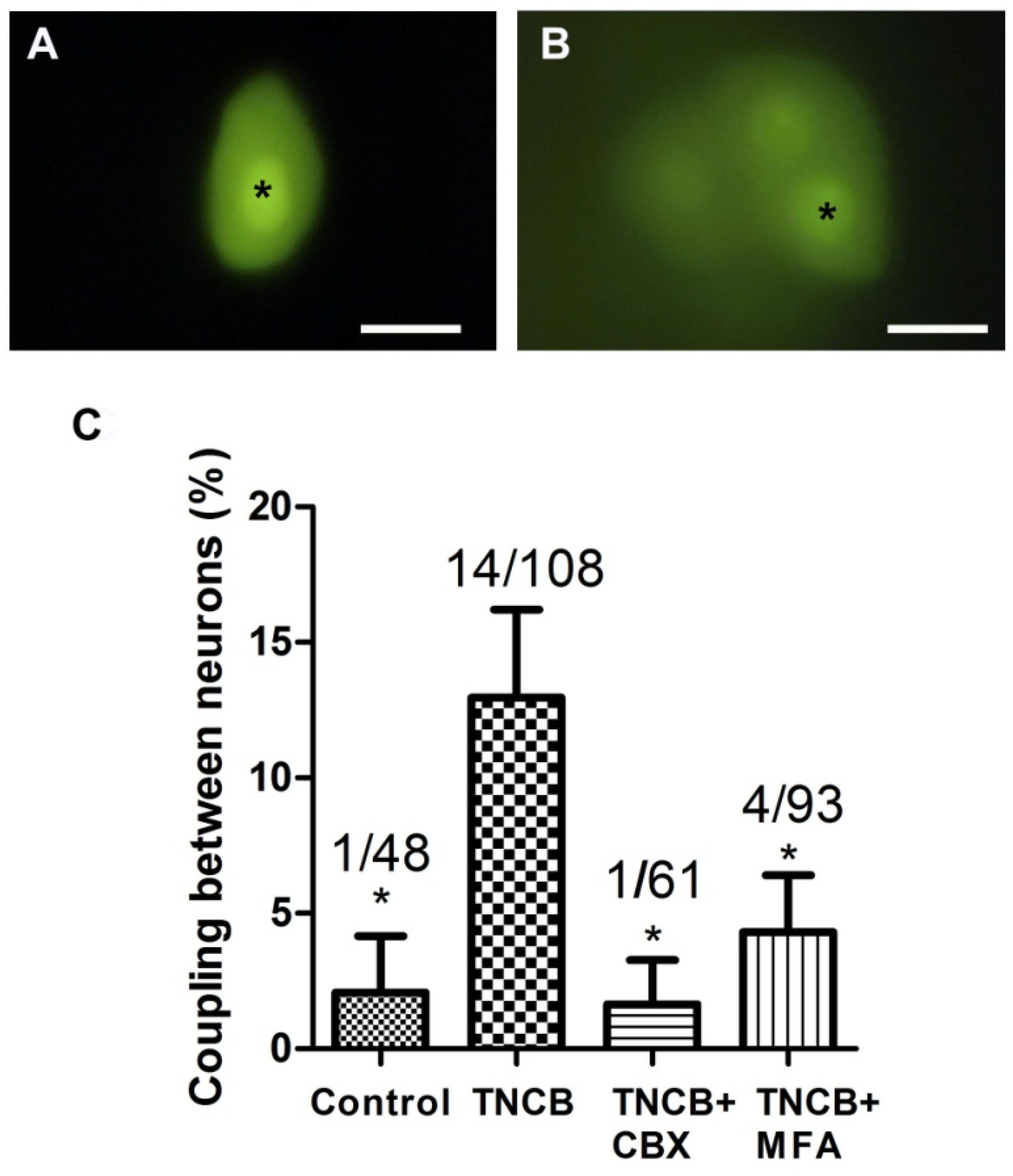 Cells 11 00886 g005