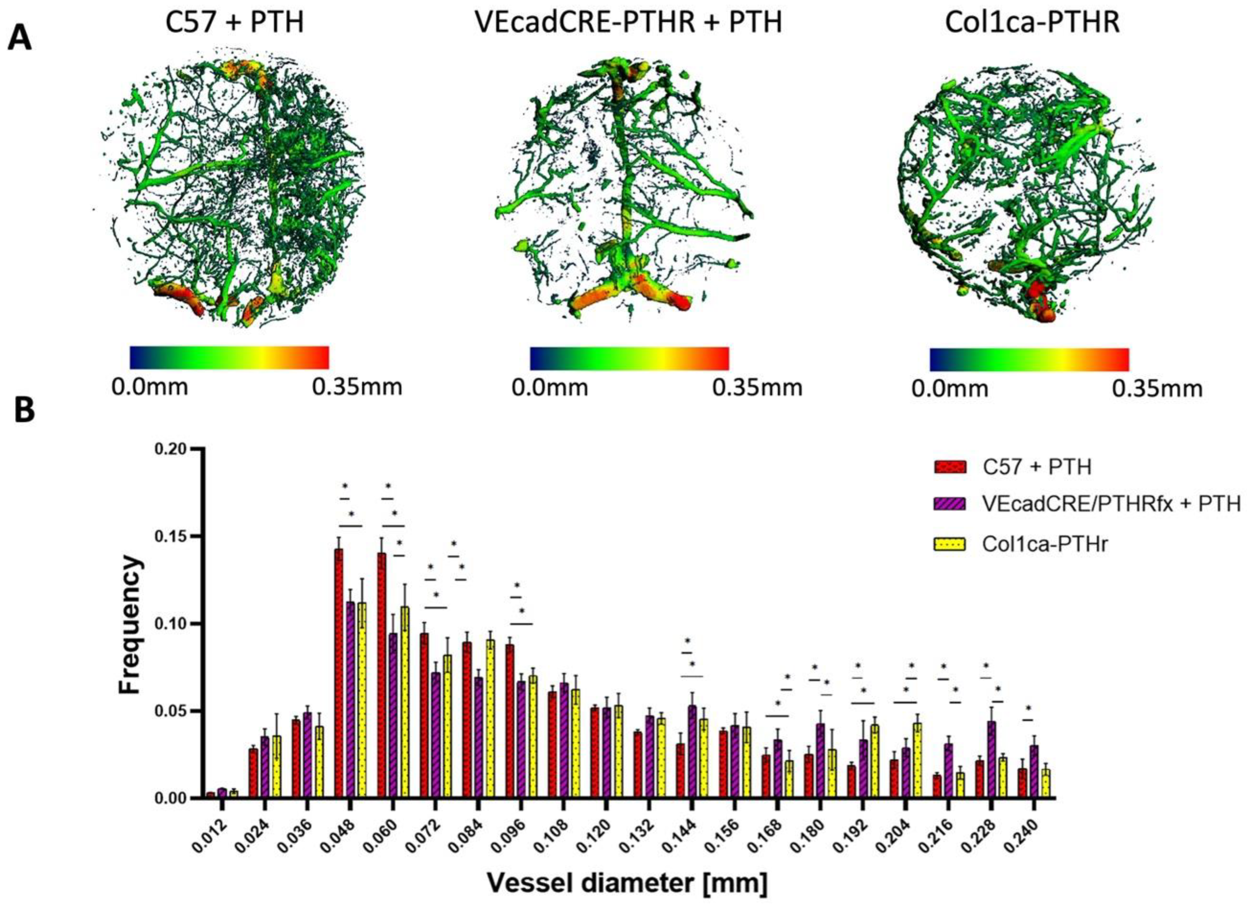 Cells 11 00897 g005 Cells 11 00897 g005
