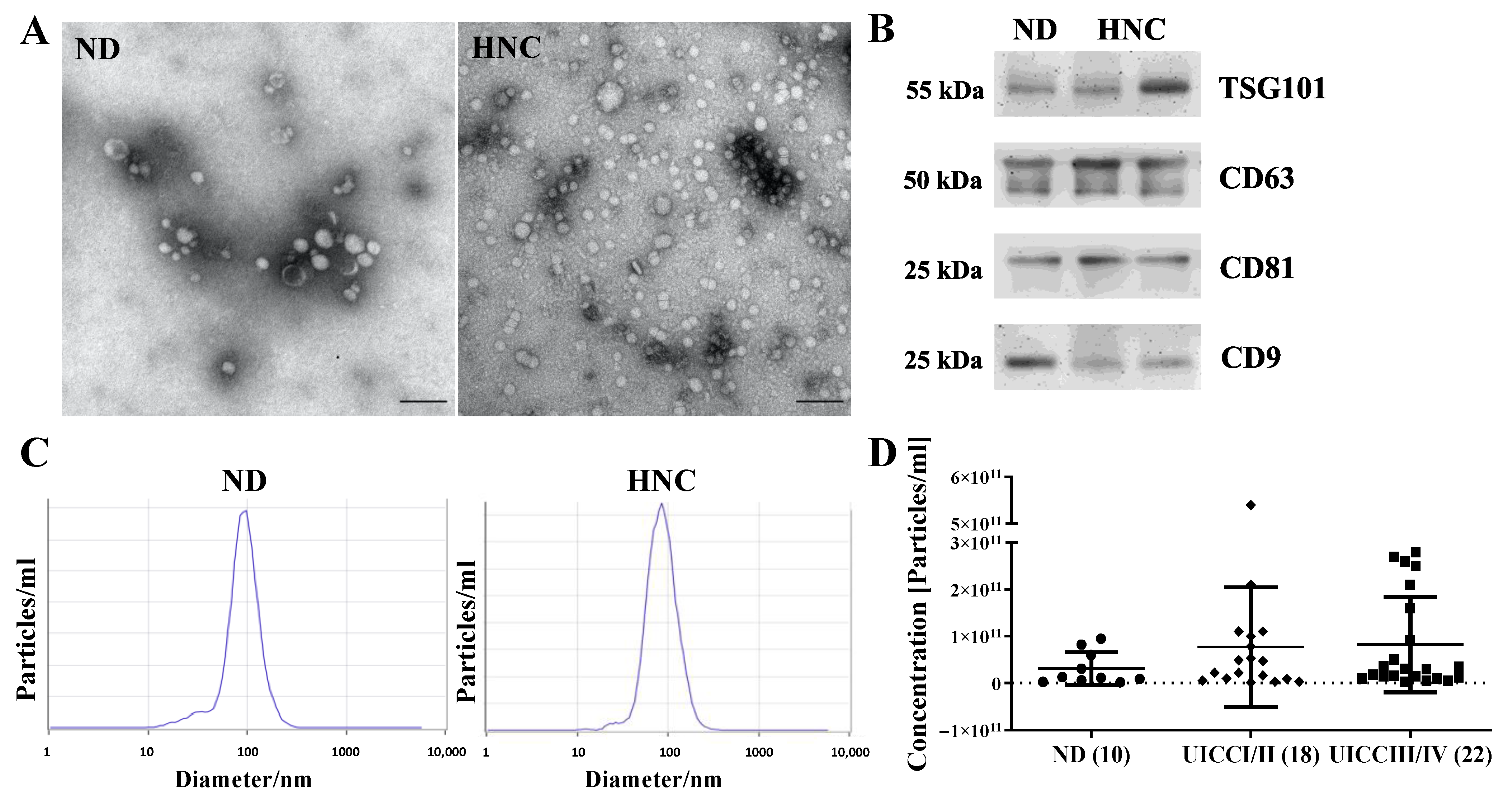Cells 11 00902 g001 Cells 11 00902 g001