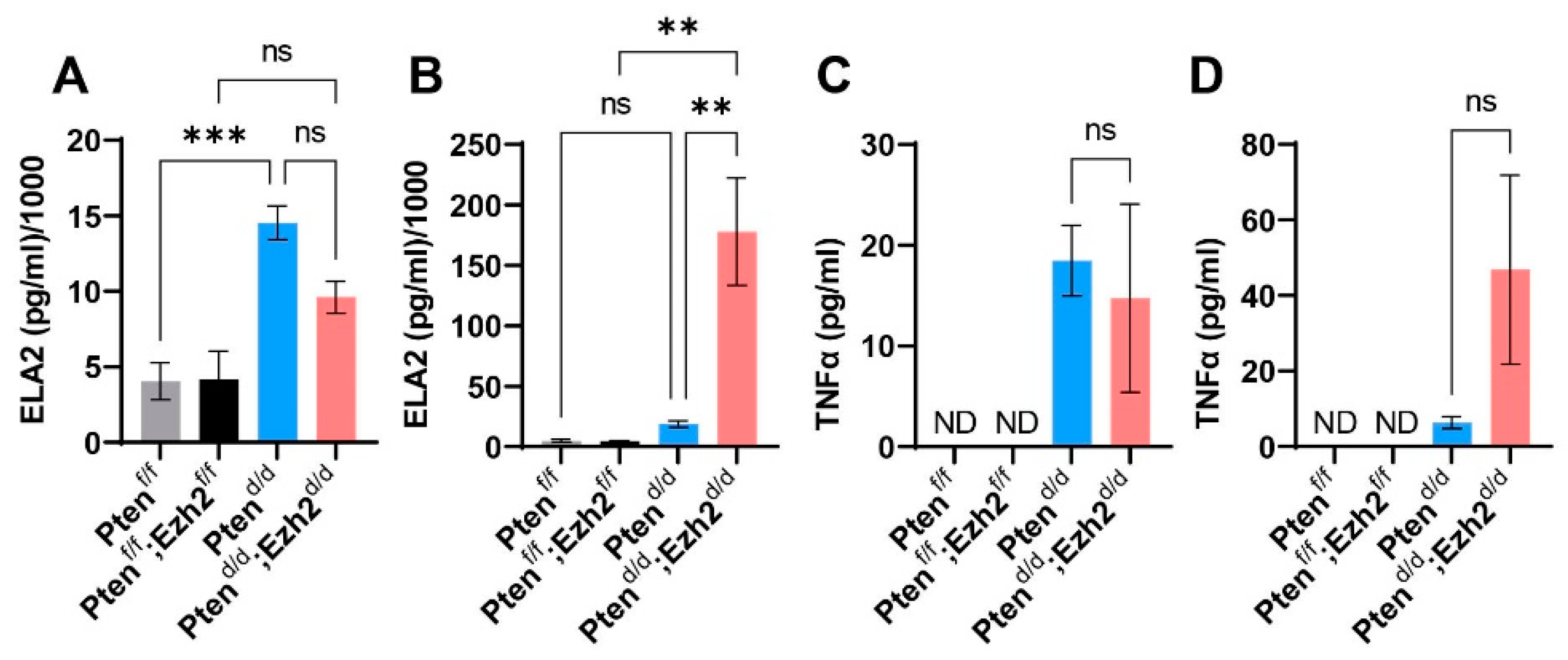 Cells 11 00909 g005 Cells 11 00909 g005