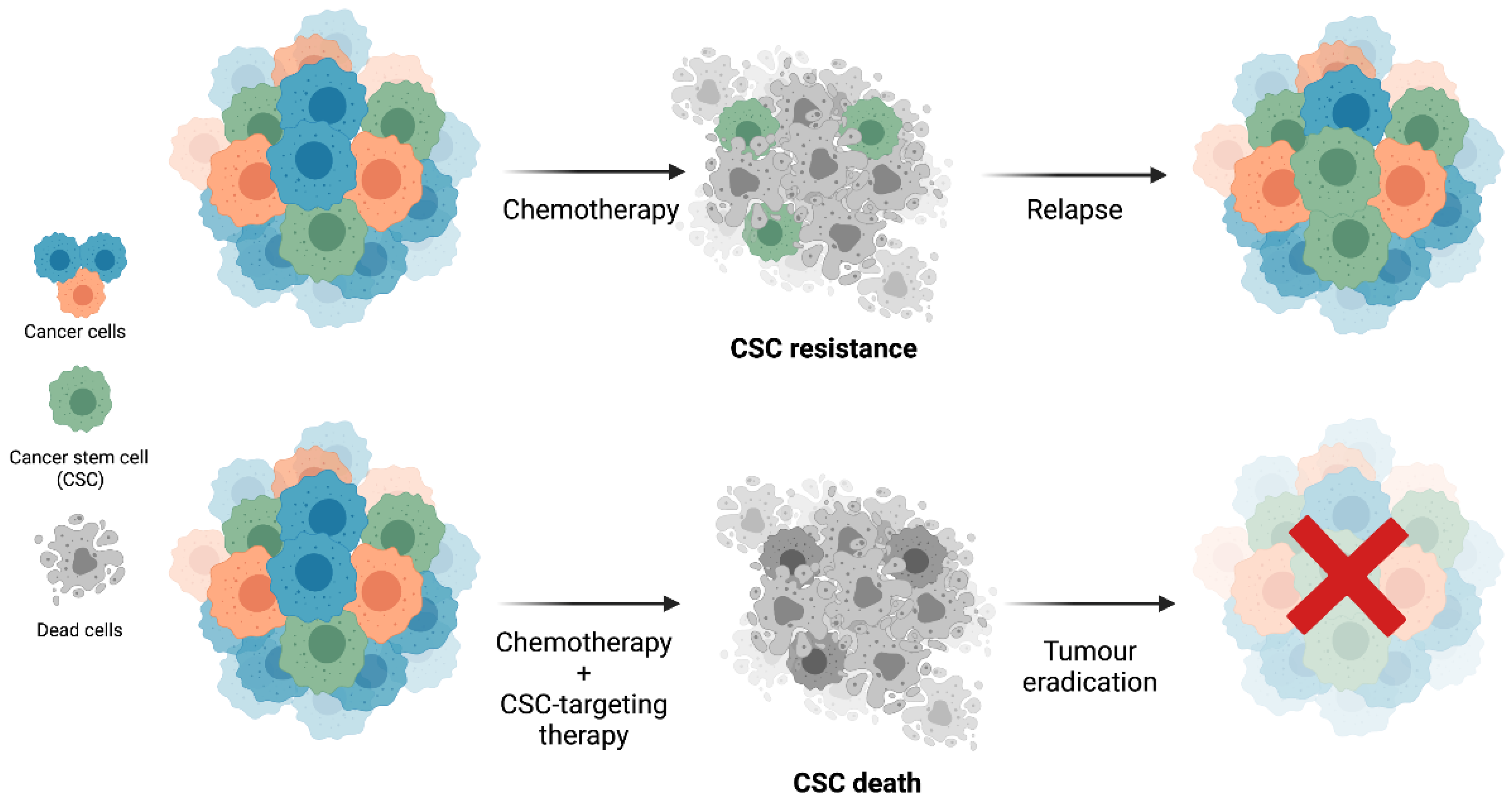 Cells 11 00934 g002 Cells 11 00934 g002