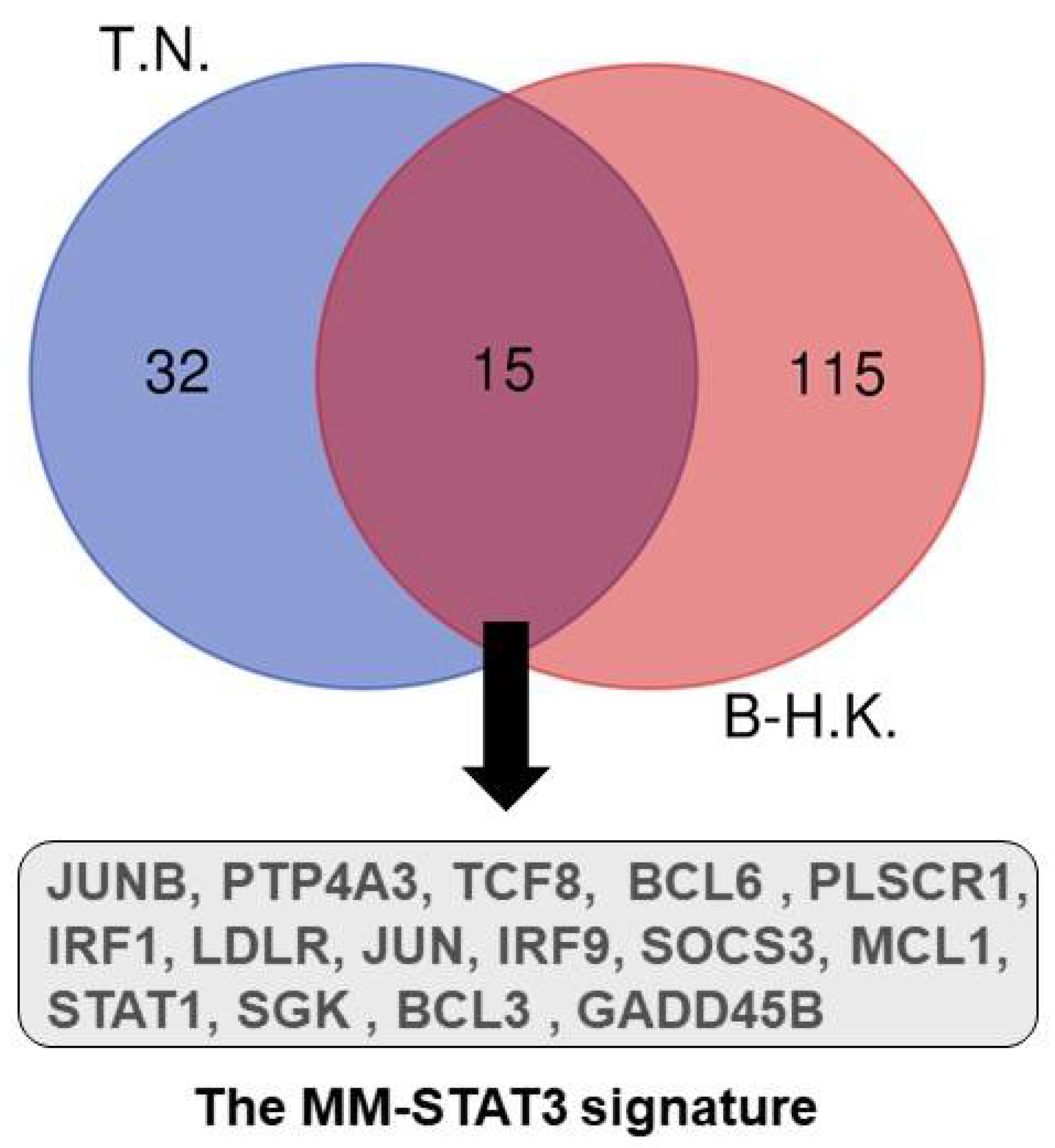 Cells 11 00941 g001 Cells 11 00941 g001