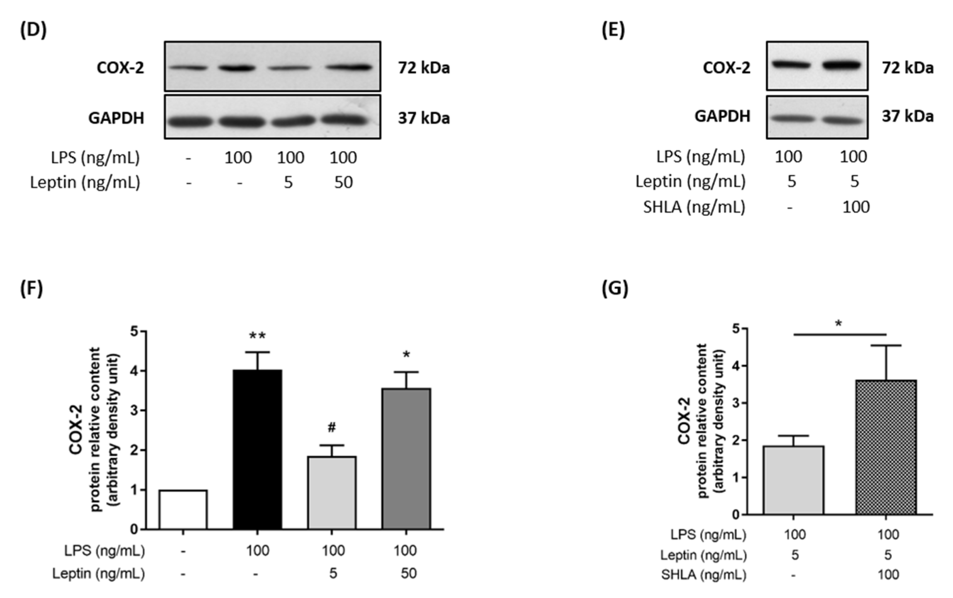 Cells 11 00954 g001b