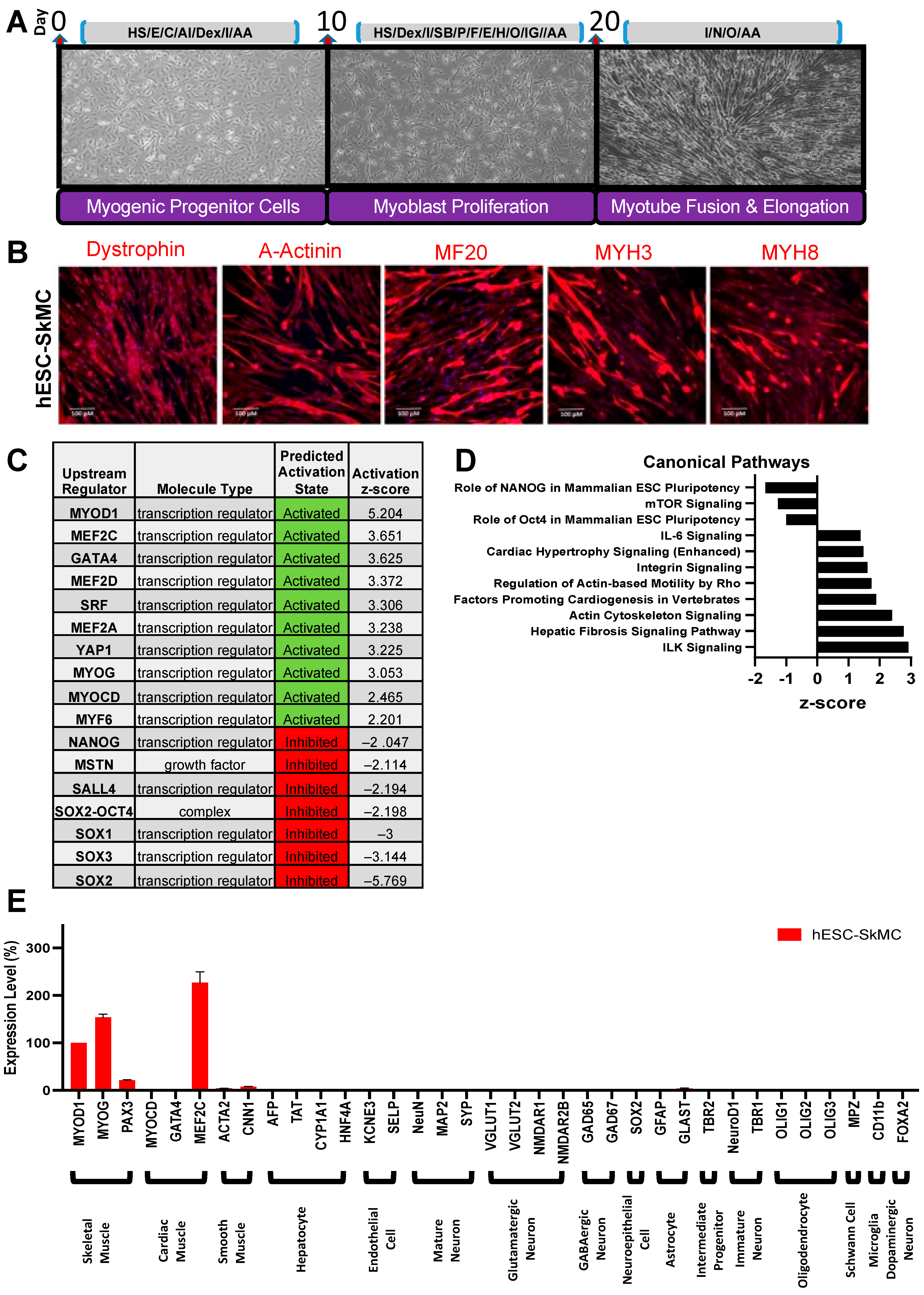 Cells 11 00963 g001 Cells 11 00963 g001
