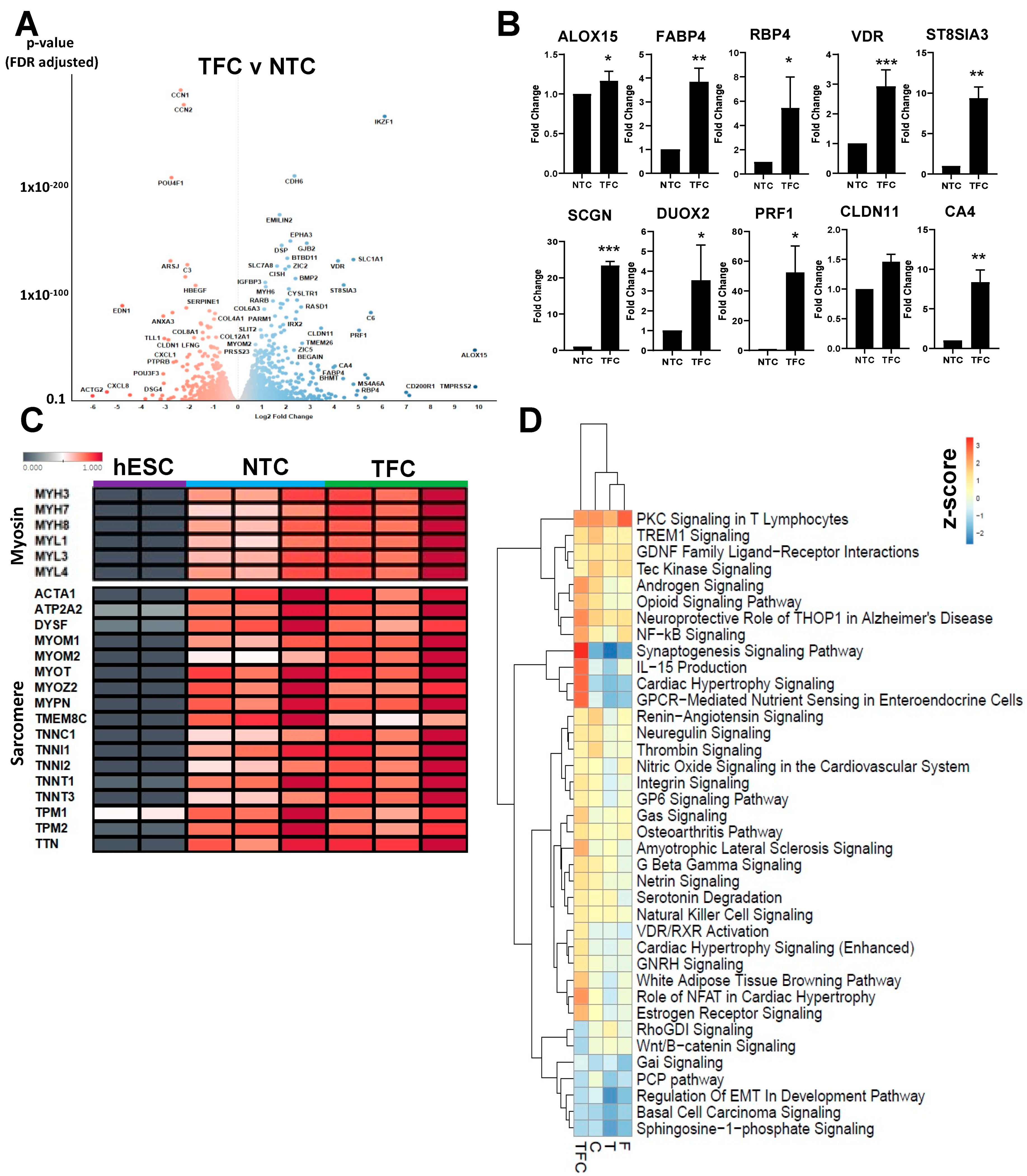 Cells 11 00963 g003 Cells 11 00963 g003