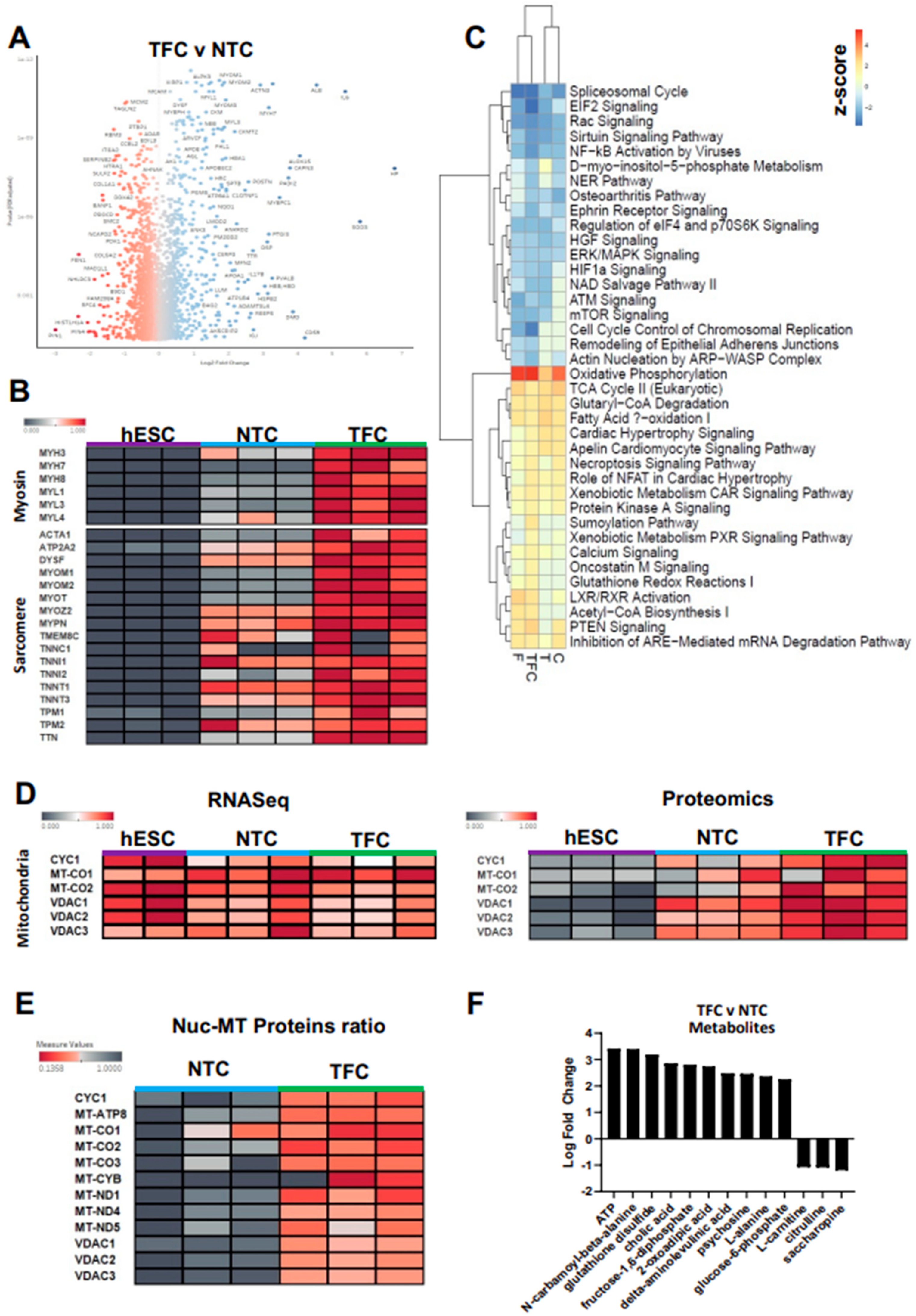 Cells 11 00963 g004 Cells 11 00963 g004