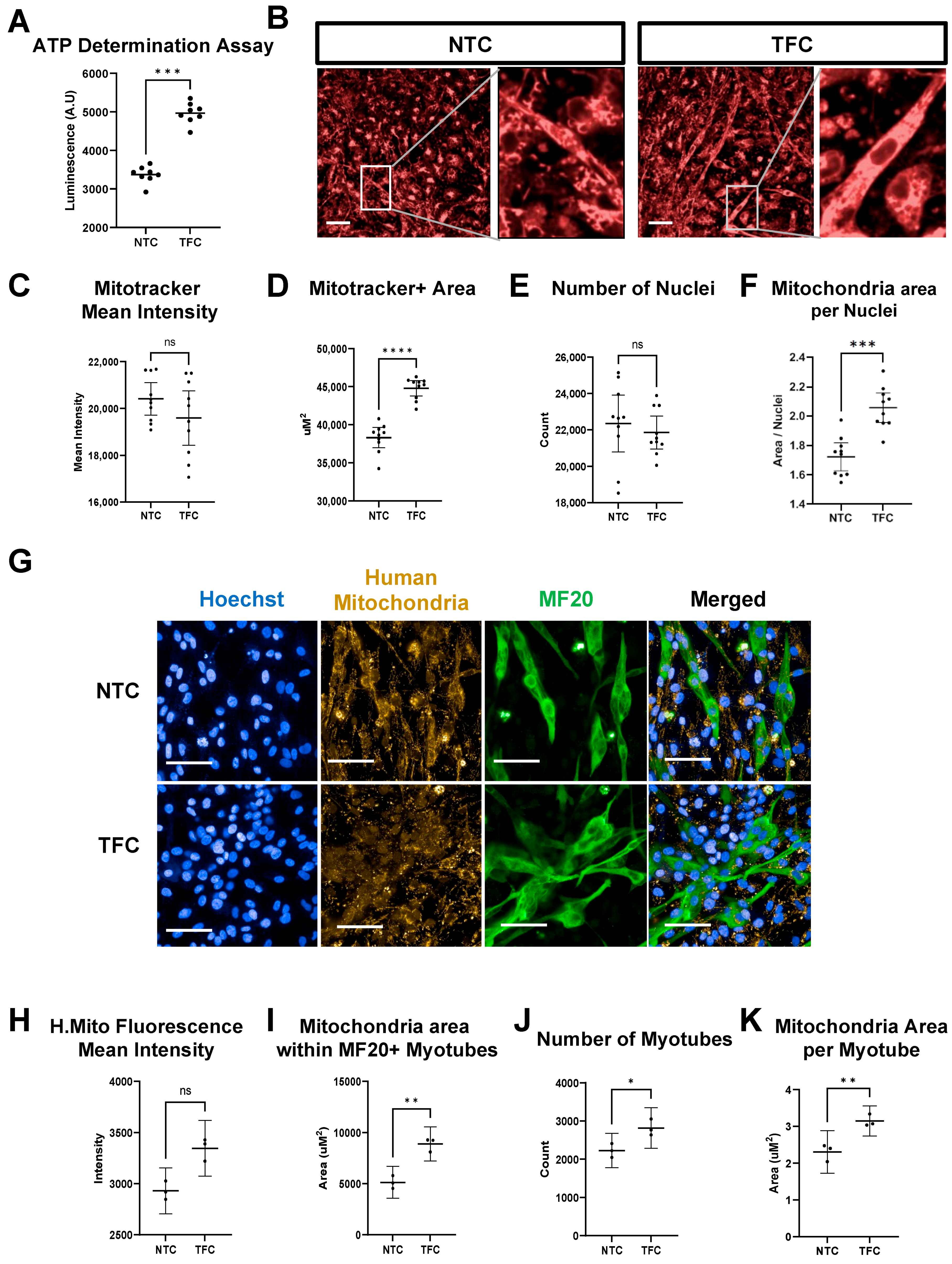 Cells 11 00963 g005 Cells 11 00963 g005