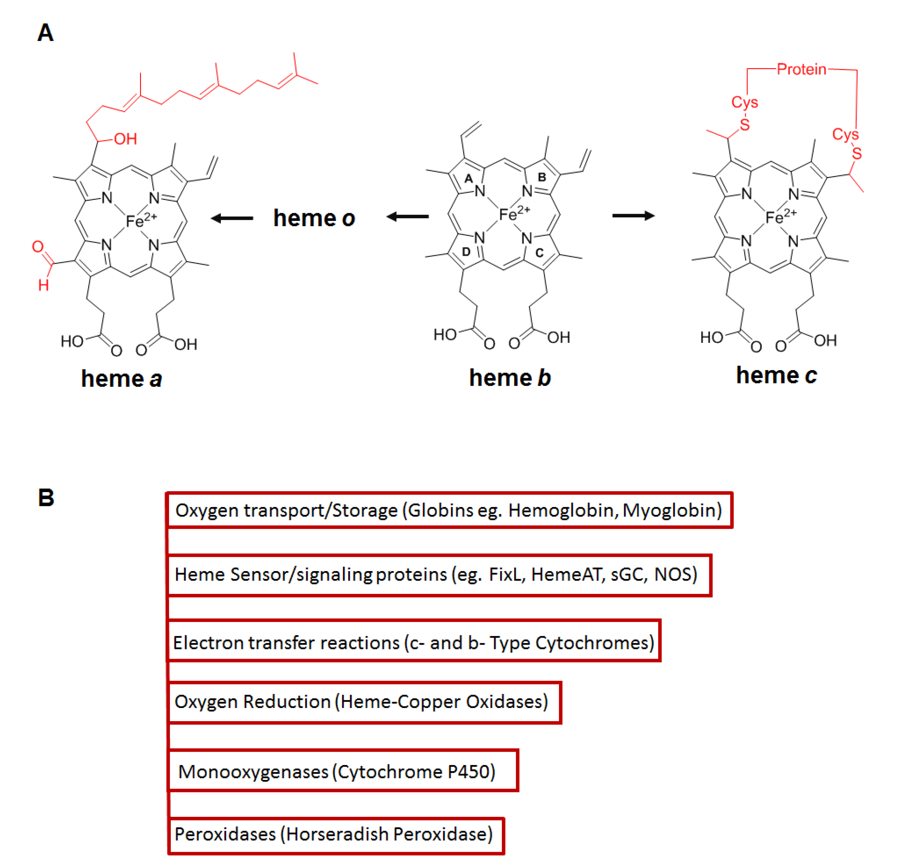 Cells 11 00976 g002 Cells 11 00976 g002