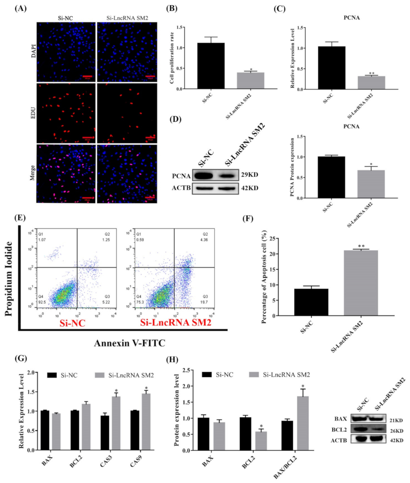 Cells 11 00985 g003 Cells 11 00985 g003