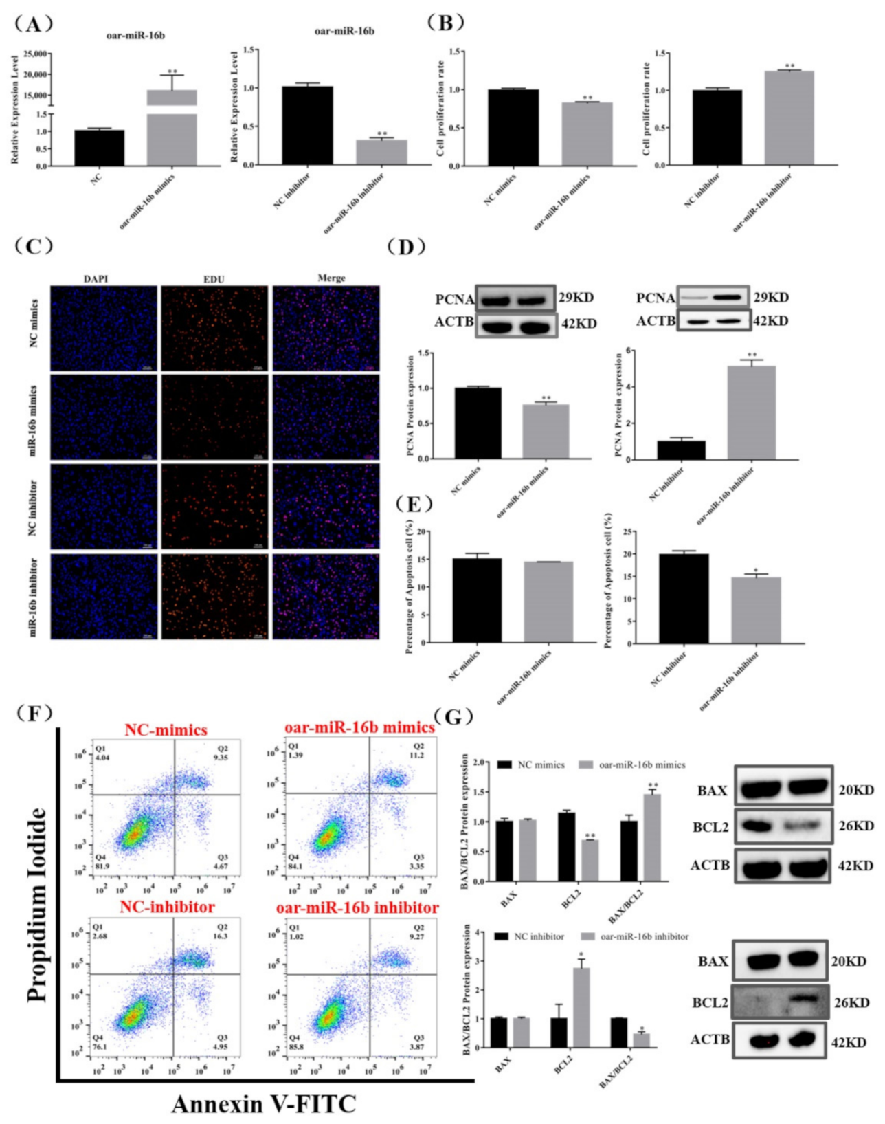 Cells 11 00985 g005 Cells 11 00985 g005